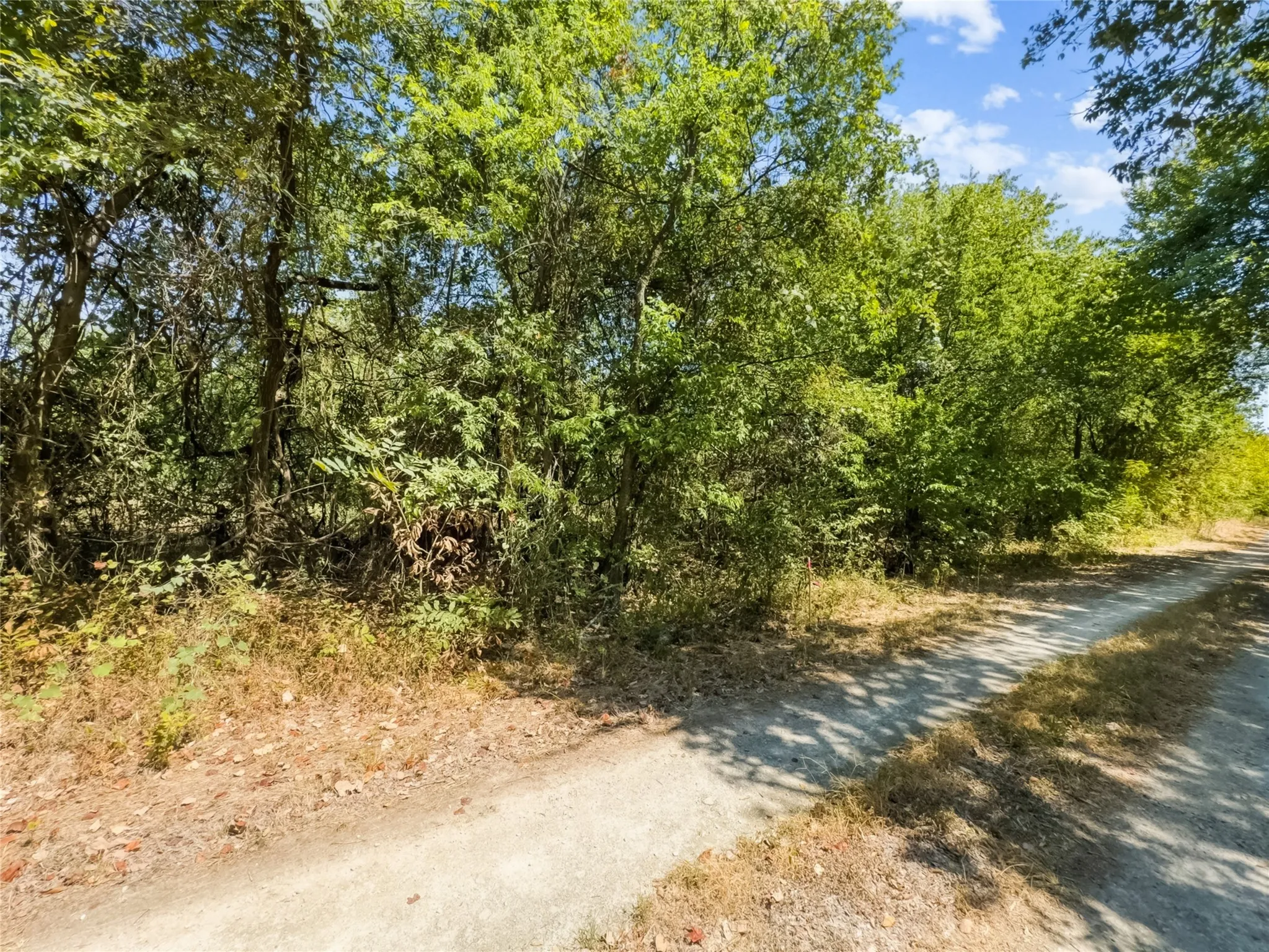 Improved Land For Sale in Johnson County , 200 Willie Mae Road, Cleburne, Texas 76031, 0, 0, Garage spaces, 0 Sqft, built in 0, mls#21361415, Real Estate Agent in Cleburne, Homes For Sale in Johnson county, Homes For Sale in Cleburne, Realtor in Cleburne Texas, Real Estate Brokerage Independent Realty Texas, Luminita Cordes Realtor