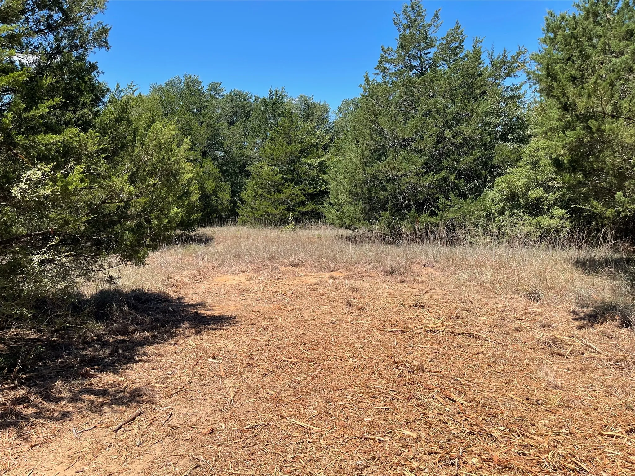 Unimproved Land For Sale in Freestone County , 337 FCR 640, Teague, Texas 75860, 0, 0, Garage spaces, 0 Sqft, built in 0, mls#21361421, Real Estate Agent in Teague, Homes For Sale in Freestone county, Homes For Sale in Teague, Realtor in Teague Texas, Real Estate Brokerage Independent Realty Texas, Luminita Cordes Realtor