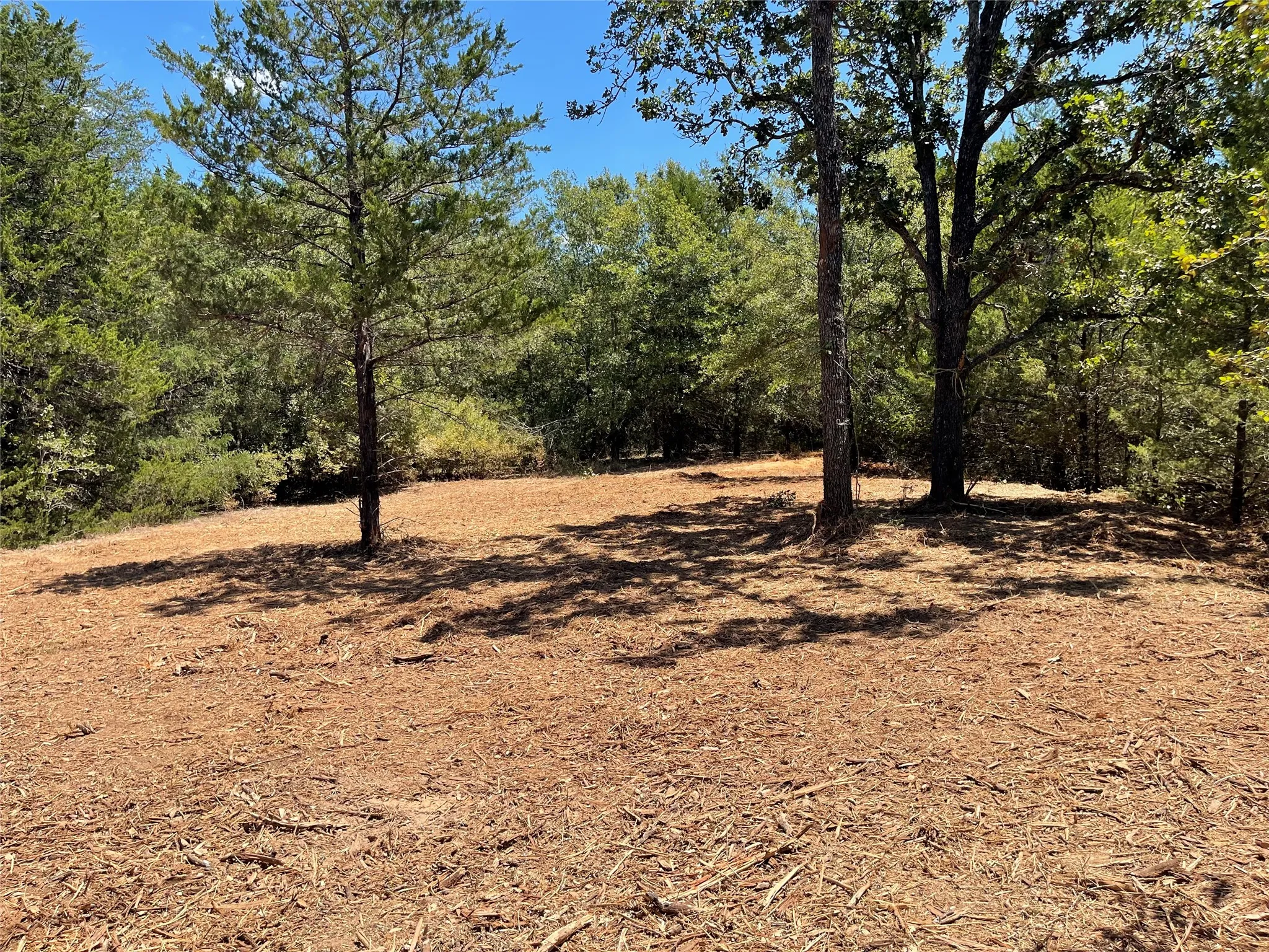 Unimproved Land For Sale in Freestone County , 337 FCR 640, Teague, Texas 75860, 0, 0, Garage spaces, 0 Sqft, built in 0, mls#21361421, Real Estate Agent in Teague, Homes For Sale in Freestone county, Homes For Sale in Teague, Realtor in Teague Texas, Real Estate Brokerage Independent Realty Texas, Luminita Cordes Realtor