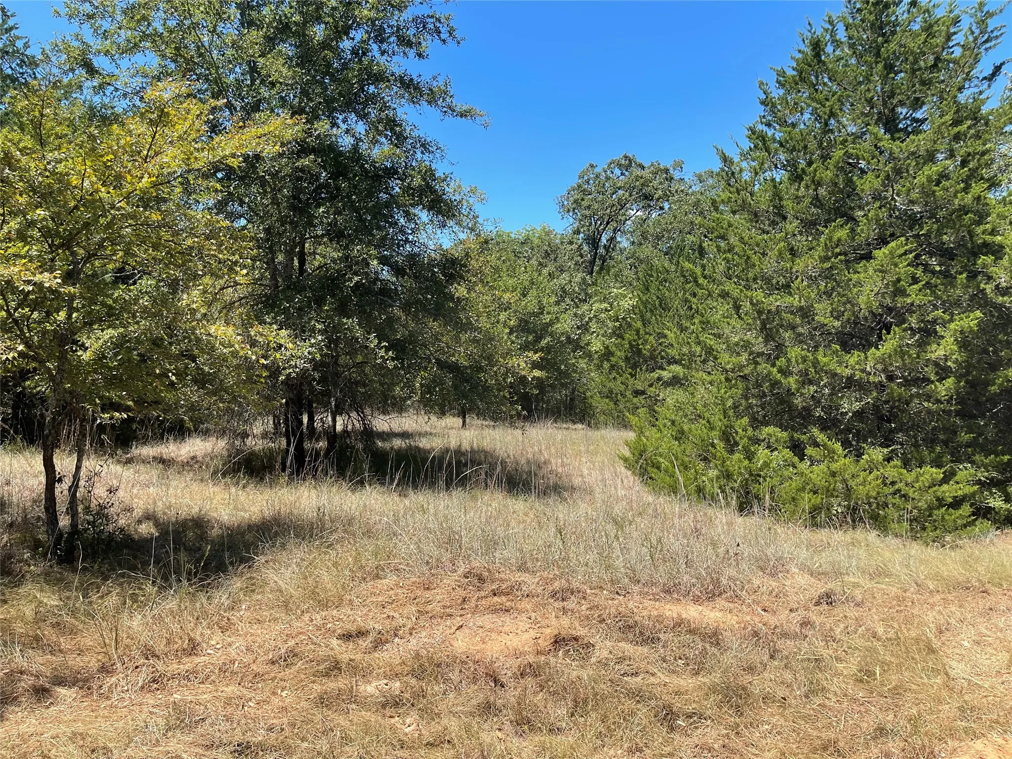 Unimproved Land For Sale in Freestone County , 337 FCR 640, Teague, Texas 75860, 0, 0, Garage spaces, 0 Sqft, built in 0, mls#21361421, Real Estate Agent in Teague, Homes For Sale in Freestone county, Homes For Sale in Teague, Realtor in Teague Texas, Real Estate Brokerage Independent Realty Texas, Luminita Cordes Realtor