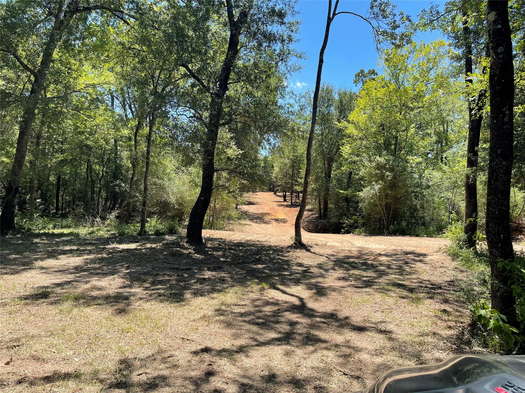 Unimproved Land For Sale in Freestone County , 337 FCR 640, Teague, Texas 75860, 0, 0, Garage spaces, 0 Sqft, built in 0, mls#21361421, Real Estate Agent in Teague, Homes For Sale in Freestone county, Homes For Sale in Teague, Realtor in Teague Texas, Real Estate Brokerage Independent Realty Texas, Luminita Cordes Realtor