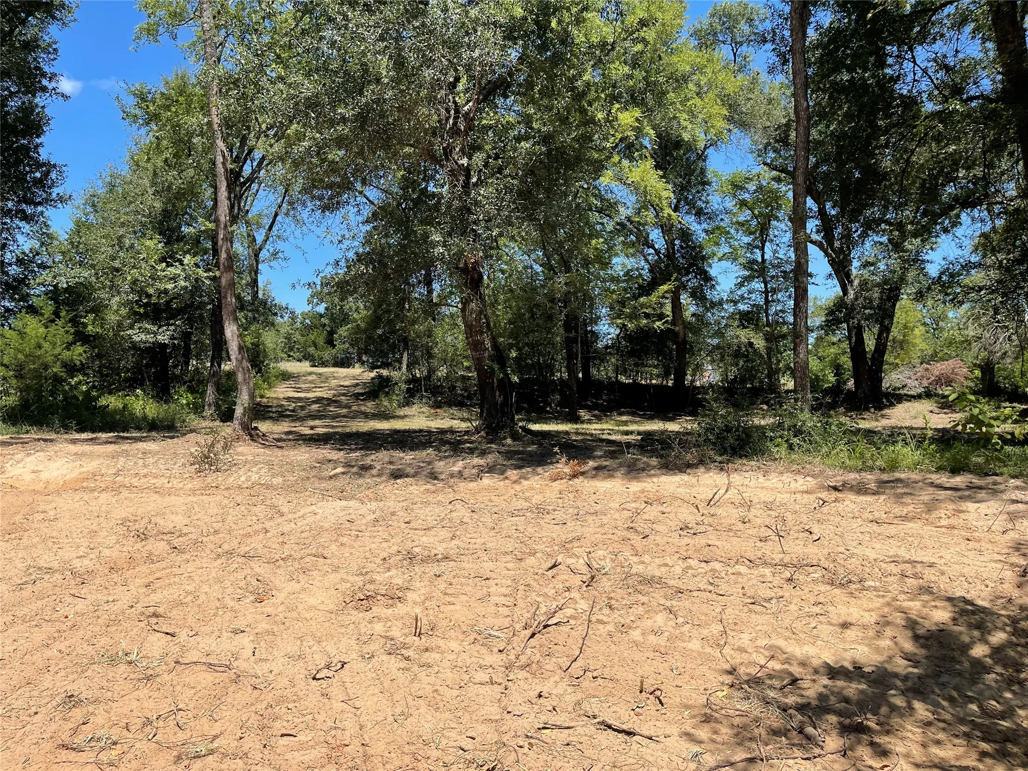 Unimproved Land For Sale in Freestone County , 337 FCR 640, Teague, Texas 75860, 0, 0, Garage spaces, 0 Sqft, built in 0, mls#21361421, Real Estate Agent in Teague, Homes For Sale in Freestone county, Homes For Sale in Teague, Realtor in Teague Texas, Real Estate Brokerage Independent Realty Texas, Luminita Cordes Realtor