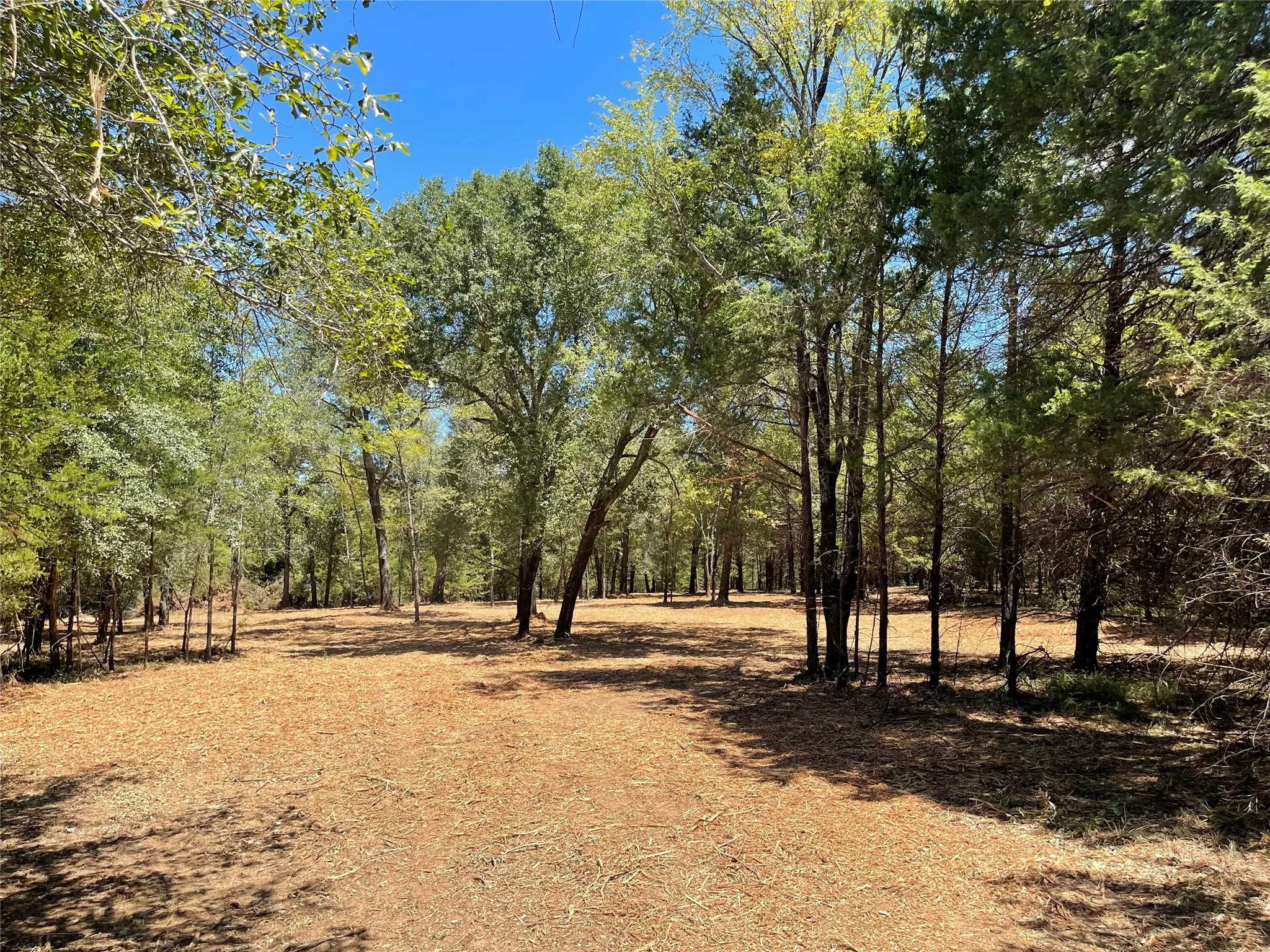 Unimproved Land For Sale in Freestone County , 337 FCR 640, Teague, Texas 75860, 0, 0, Garage spaces, 0 Sqft, built in 0, mls#21361421, Real Estate Agent in Teague, Homes For Sale in Freestone county, Homes For Sale in Teague, Realtor in Teague Texas, Real Estate Brokerage Independent Realty Texas, Luminita Cordes Realtor