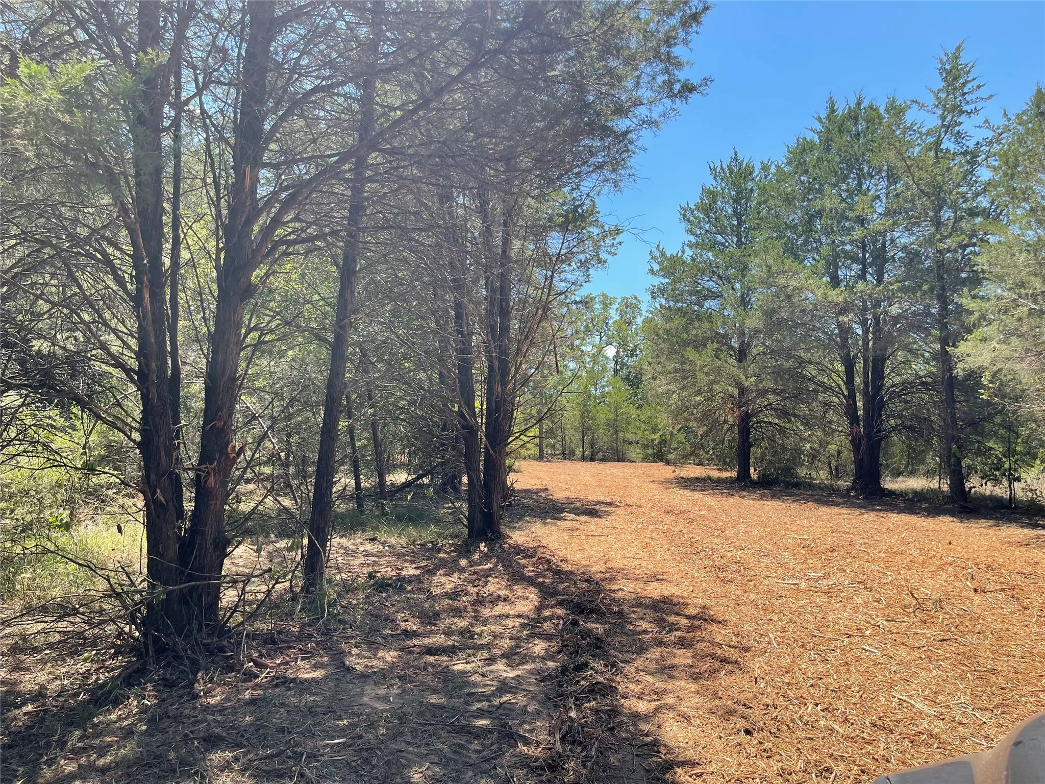 Unimproved Land For Sale in Freestone County , 337 FCR 640, Teague, Texas 75860, 0, 0, Garage spaces, 0 Sqft, built in 0, mls#21361421, Real Estate Agent in Teague, Homes For Sale in Freestone county, Homes For Sale in Teague, Realtor in Teague Texas, Real Estate Brokerage Independent Realty Texas, Luminita Cordes Realtor