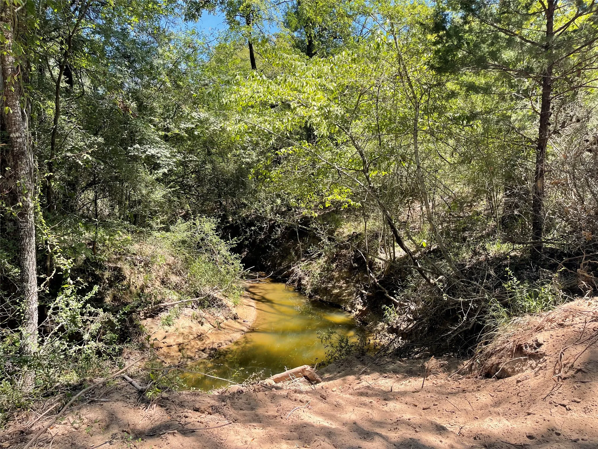 Unimproved Land For Sale in Freestone County , 337 FCR 640, Teague, Texas 75860, 0, 0, Garage spaces, 0 Sqft, built in 0, mls#21361421, Real Estate Agent in Teague, Homes For Sale in Freestone county, Homes For Sale in Teague, Realtor in Teague Texas, Real Estate Brokerage Independent Realty Texas, Luminita Cordes Realtor