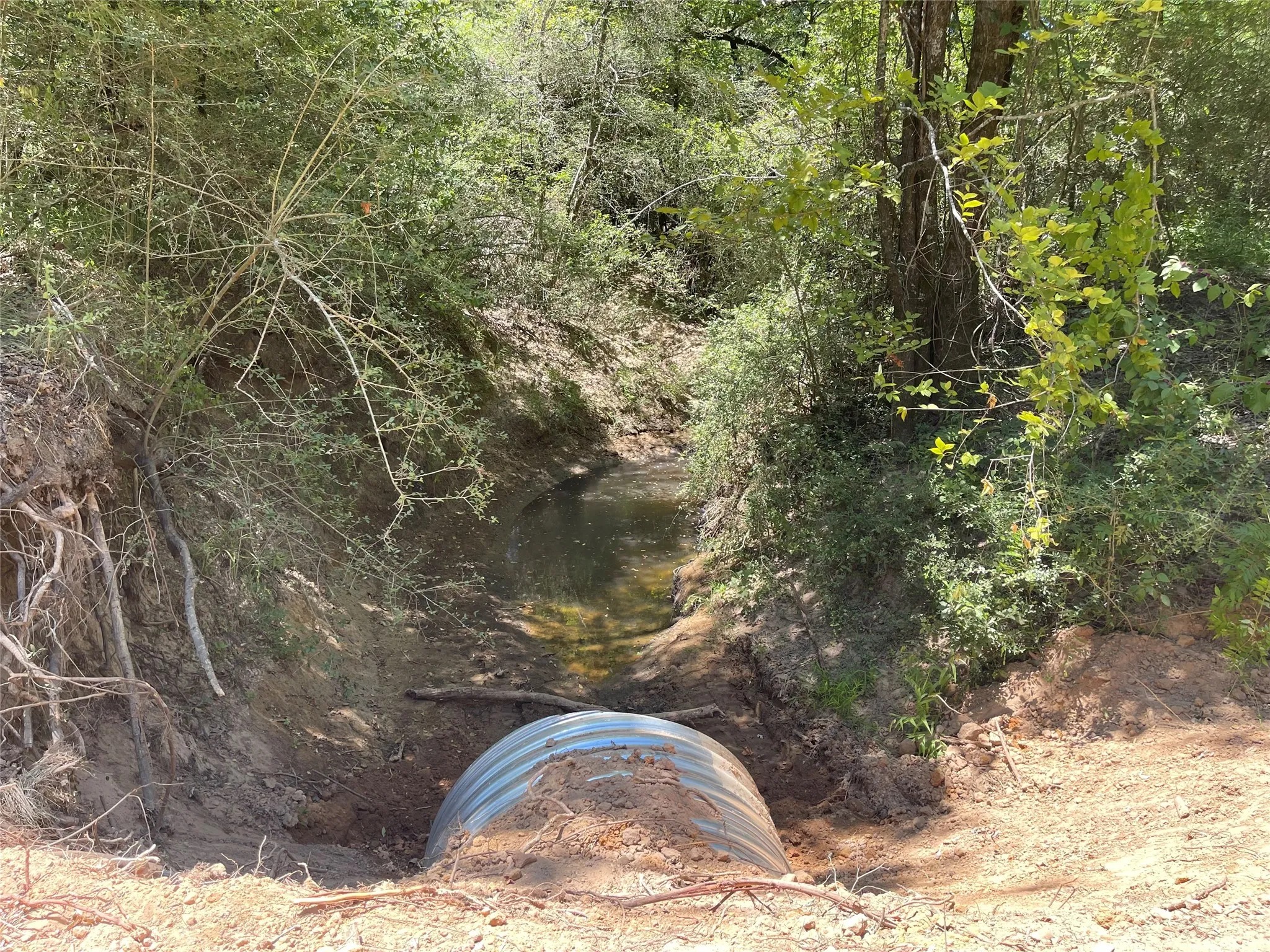 Unimproved Land For Sale in Freestone County , 337 FCR 640, Teague, Texas 75860, 0, 0, Garage spaces, 0 Sqft, built in 0, mls#21361421, Real Estate Agent in Teague, Homes For Sale in Freestone county, Homes For Sale in Teague, Realtor in Teague Texas, Real Estate Brokerage Independent Realty Texas, Luminita Cordes Realtor