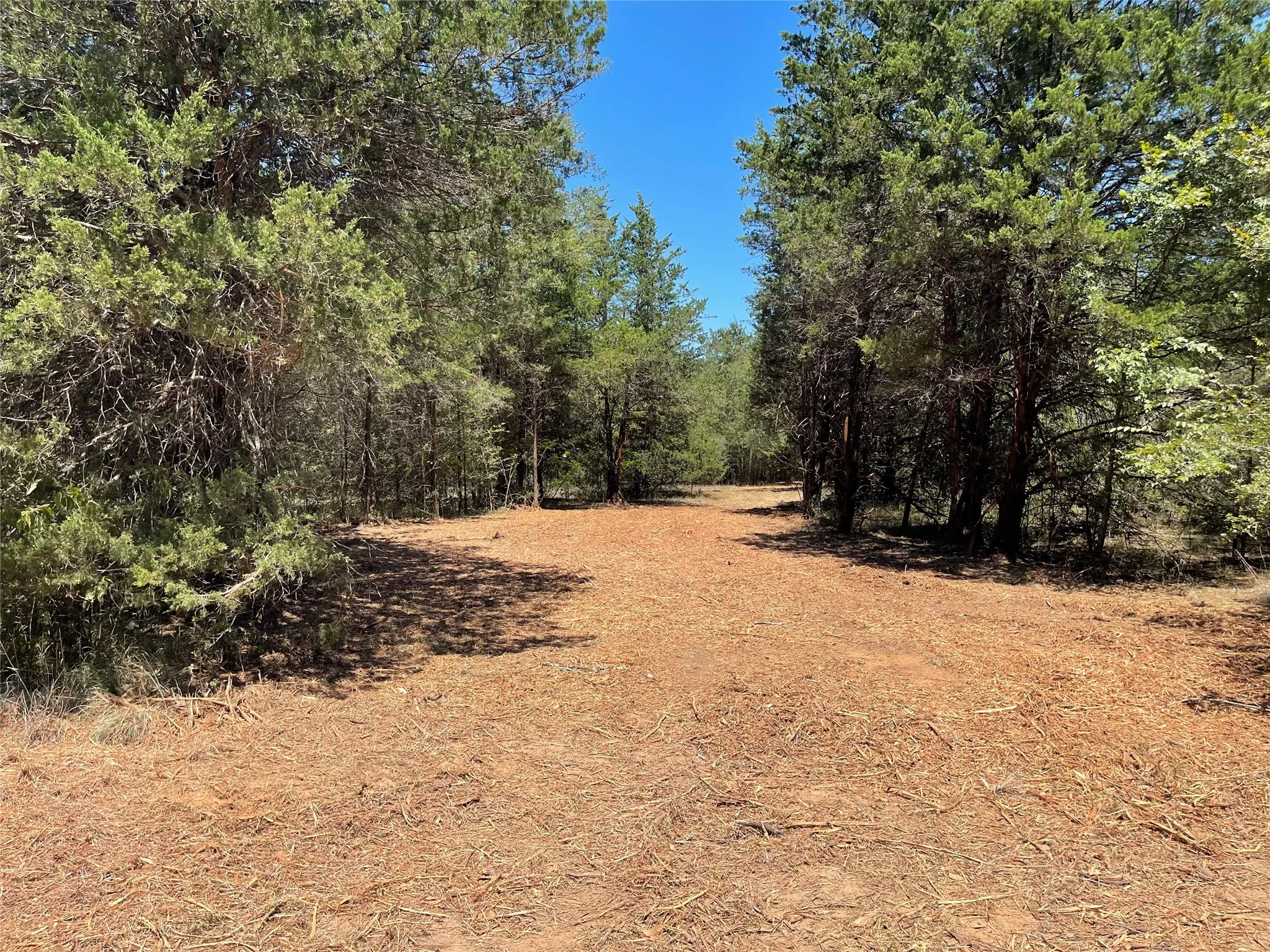 Unimproved Land For Sale in Freestone County , 337 FCR 640, Teague, Texas 75860, 0, 0, Garage spaces, 0 Sqft, built in 0, mls#21361421, Real Estate Agent in Teague, Homes For Sale in Freestone county, Homes For Sale in Teague, Realtor in Teague Texas, Real Estate Brokerage Independent Realty Texas, Luminita Cordes Realtor