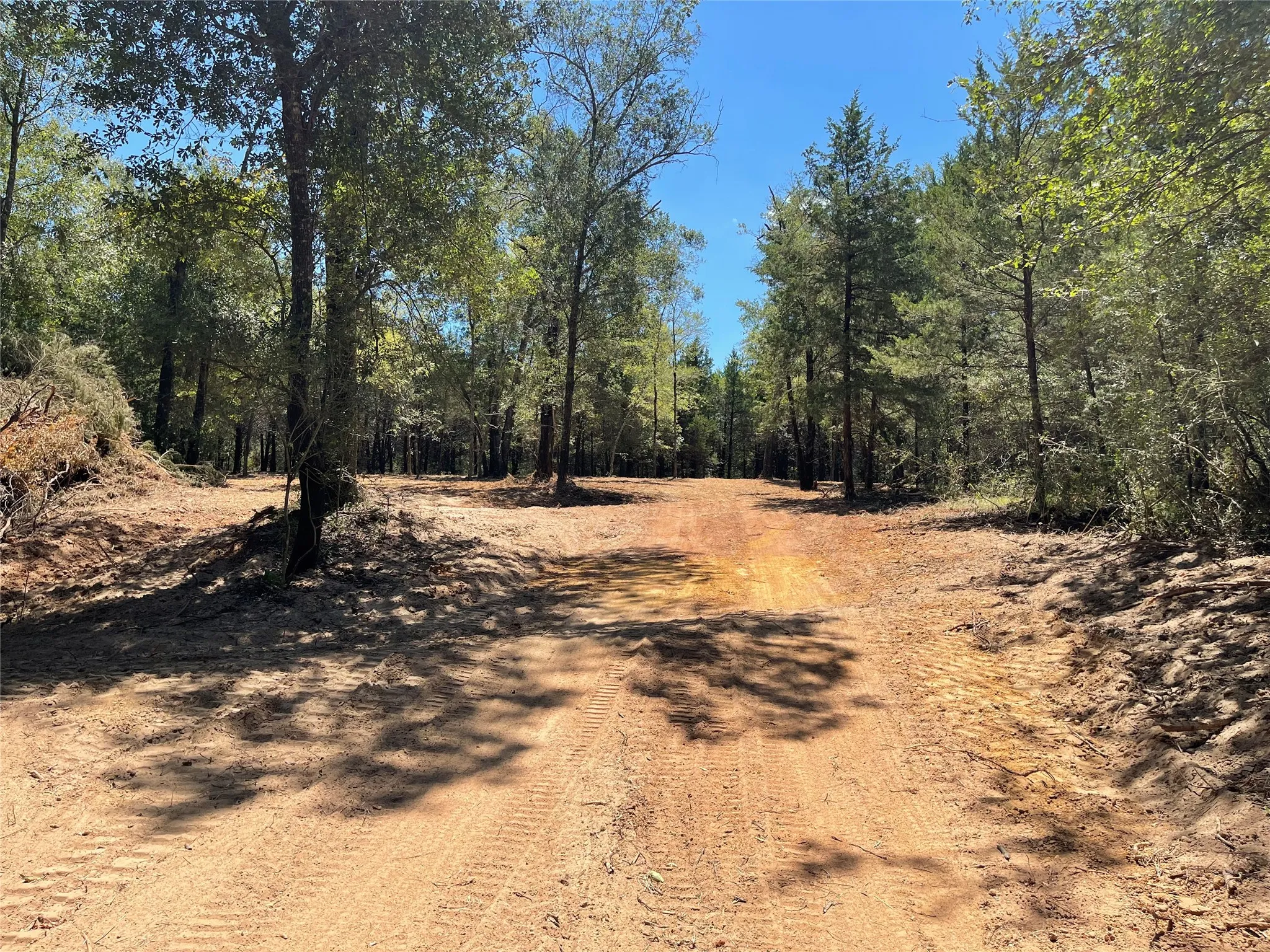 Unimproved Land For Sale in Freestone County , 337 FCR 640, Teague, Texas 75860, 0, 0, Garage spaces, 0 Sqft, built in 0, mls#21361421, Real Estate Agent in Teague, Homes For Sale in Freestone county, Homes For Sale in Teague, Realtor in Teague Texas, Real Estate Brokerage Independent Realty Texas, Luminita Cordes Realtor