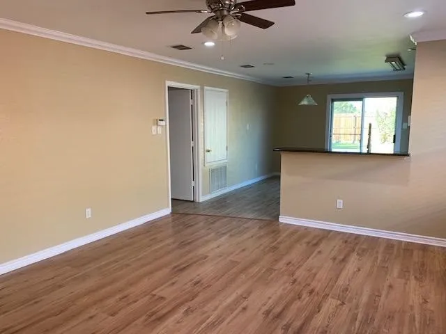 View from Living Area