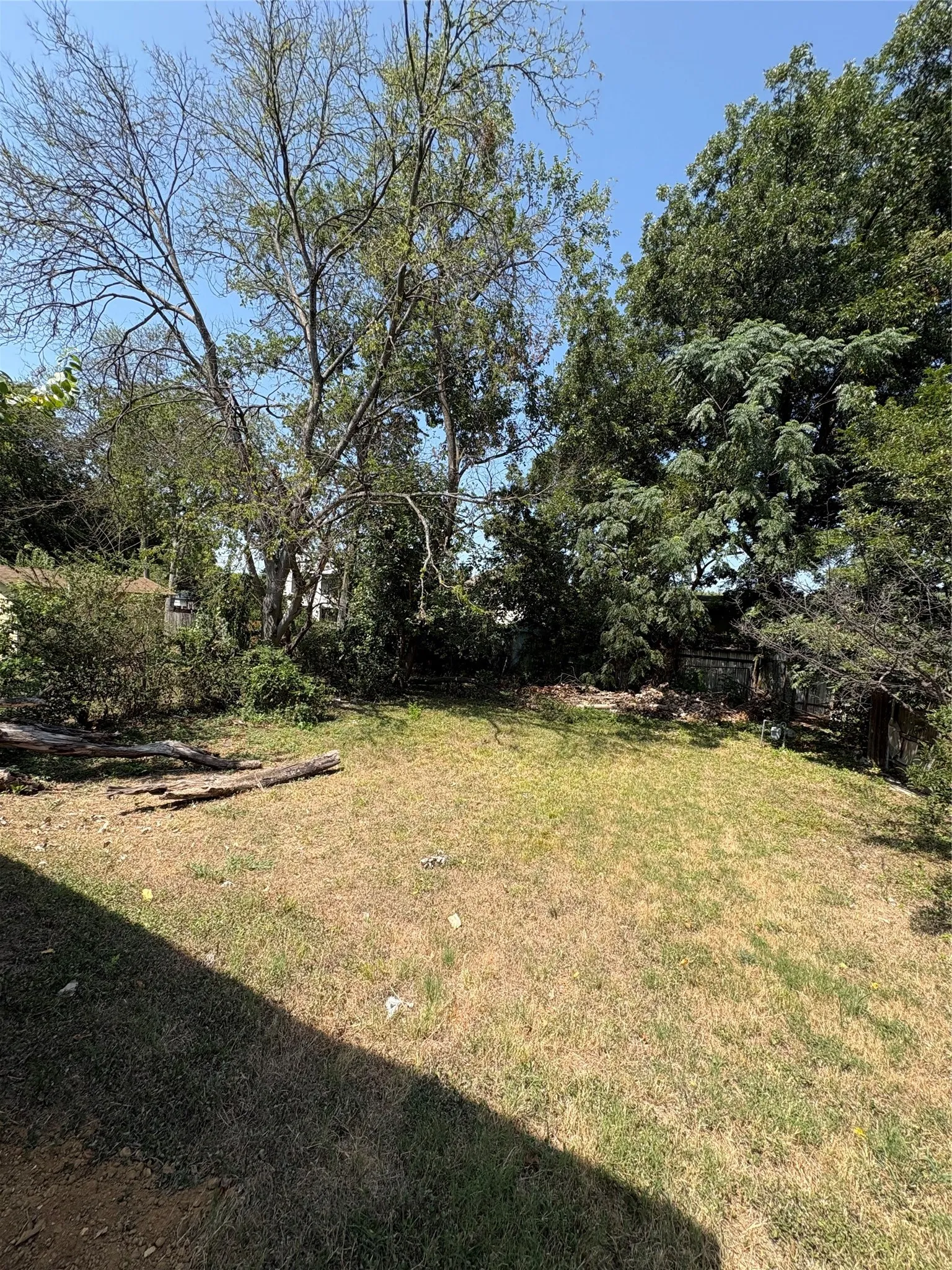 Expansive yard space with mature trees