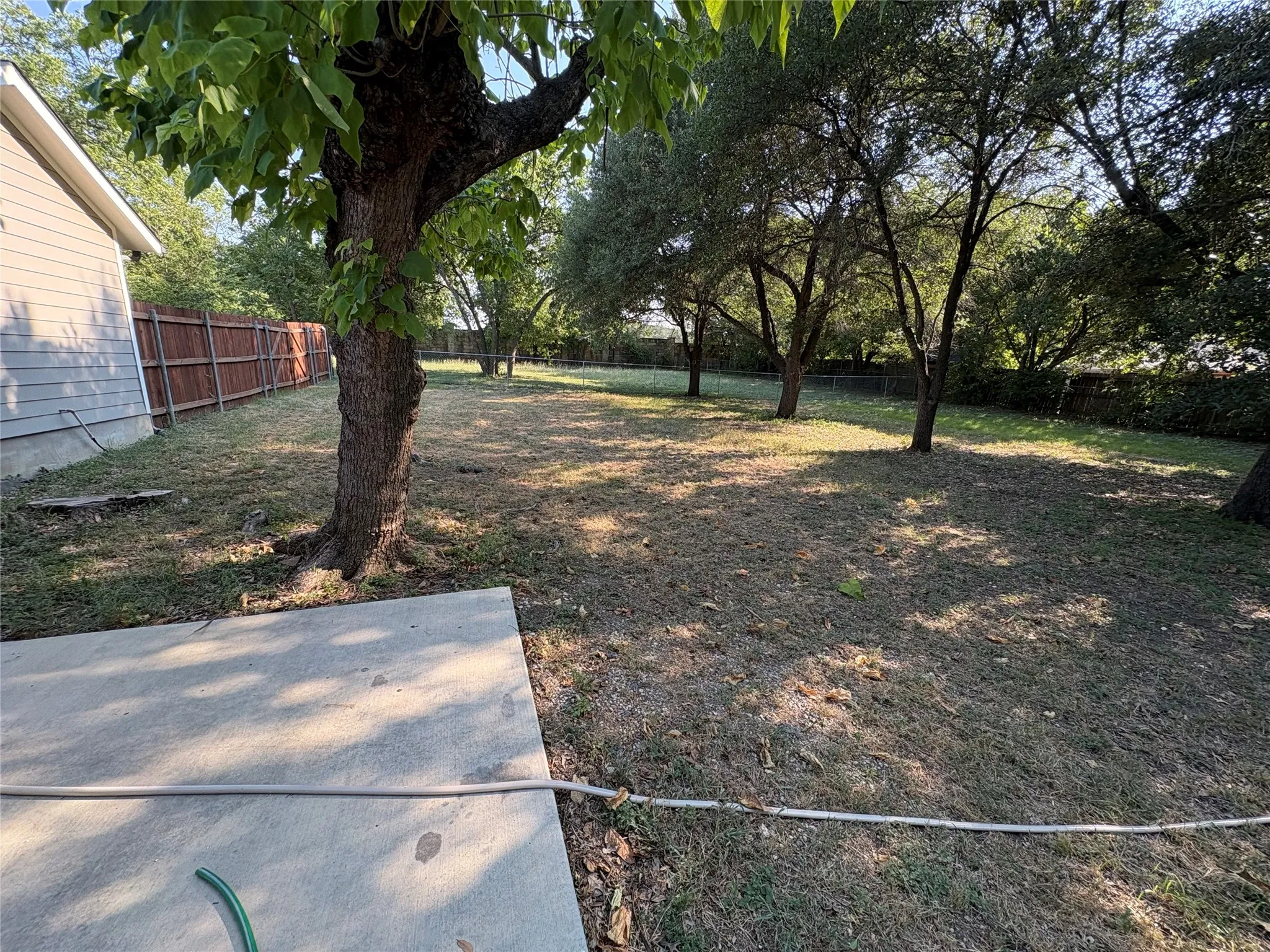 Expansive backyard featuring mature trees, a concrete patio, and a wood privacy fence