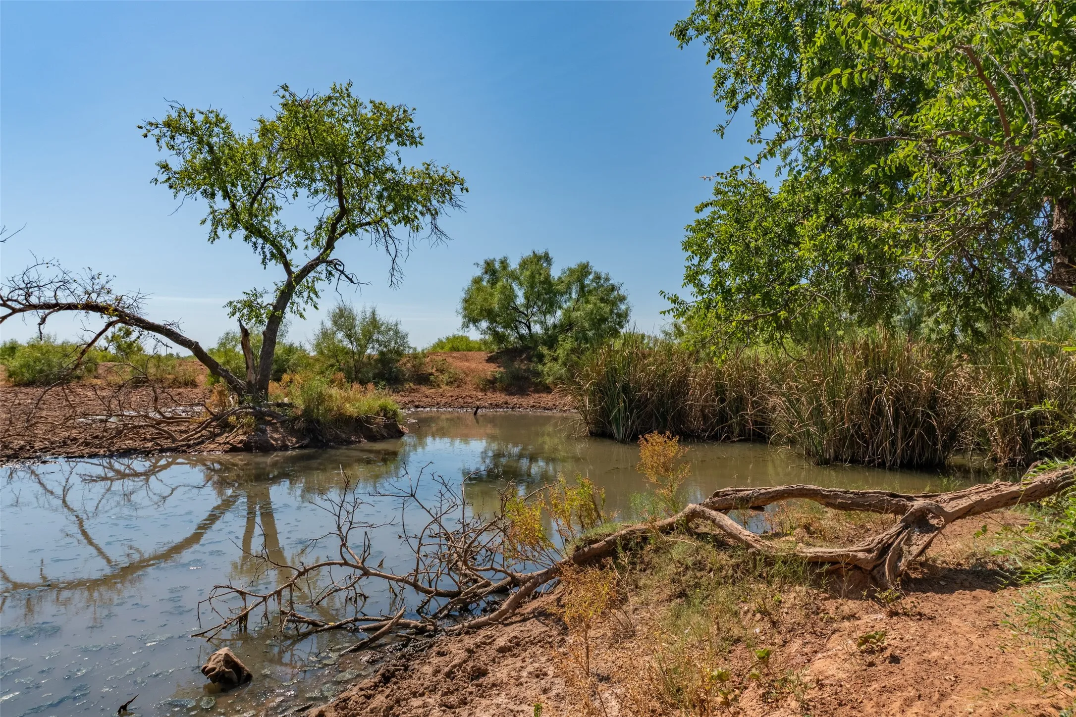 Ranch For Sale in Childress County , TBD County Road M, Childress, Texas 79201, 0, 0, Garage spaces, 0 Sqft, built in 0, mls#21361478, Real Estate Agent in Childress, Homes For Sale in Childress county, Homes For Sale in Childress, Realtor in Childress Texas, Real Estate Brokerage Independent Realty Texas, Luminita Cordes Realtor