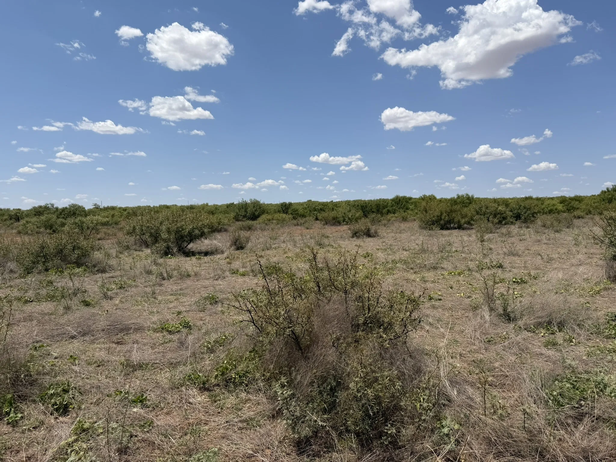 Ranch For Sale in Childress County , TBD County Road M, Childress, Texas 79201, 0, 0, Garage spaces, 0 Sqft, built in 0, mls#21361478, Real Estate Agent in Childress, Homes For Sale in Childress county, Homes For Sale in Childress, Realtor in Childress Texas, Real Estate Brokerage Independent Realty Texas, Luminita Cordes Realtor