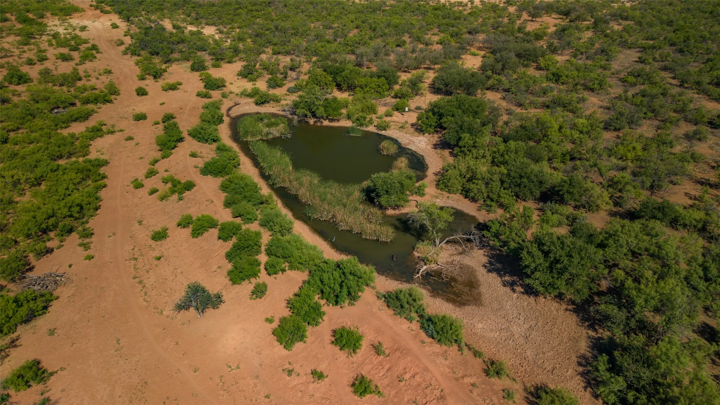 Ranch For Sale in Childress County , TBD County Road M, Childress, Texas 79201, 0, 0, Garage spaces, 0 Sqft, built in 0, mls#21361478, Real Estate Agent in Childress, Homes For Sale in Childress county, Homes For Sale in Childress, Realtor in Childress Texas, Real Estate Brokerage Independent Realty Texas, Luminita Cordes Realtor