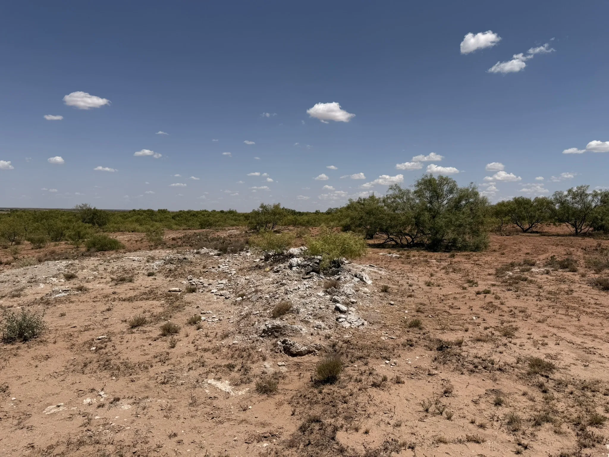 Ranch For Sale in Childress County , TBD County Road M, Childress, Texas 79201, 0, 0, Garage spaces, 0 Sqft, built in 0, mls#21361478, Real Estate Agent in Childress, Homes For Sale in Childress county, Homes For Sale in Childress, Realtor in Childress Texas, Real Estate Brokerage Independent Realty Texas, Luminita Cordes Realtor