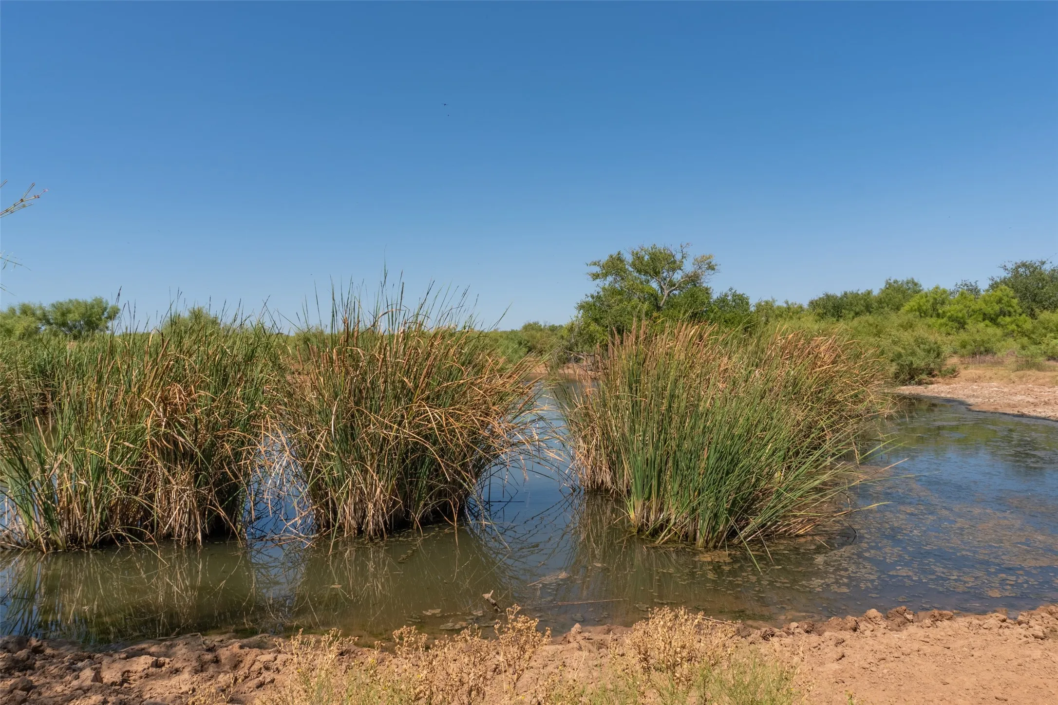 Ranch For Sale in Childress County , TBD County Road M, Childress, Texas 79201, 0, 0, Garage spaces, 0 Sqft, built in 0, mls#21361478, Real Estate Agent in Childress, Homes For Sale in Childress county, Homes For Sale in Childress, Realtor in Childress Texas, Real Estate Brokerage Independent Realty Texas, Luminita Cordes Realtor