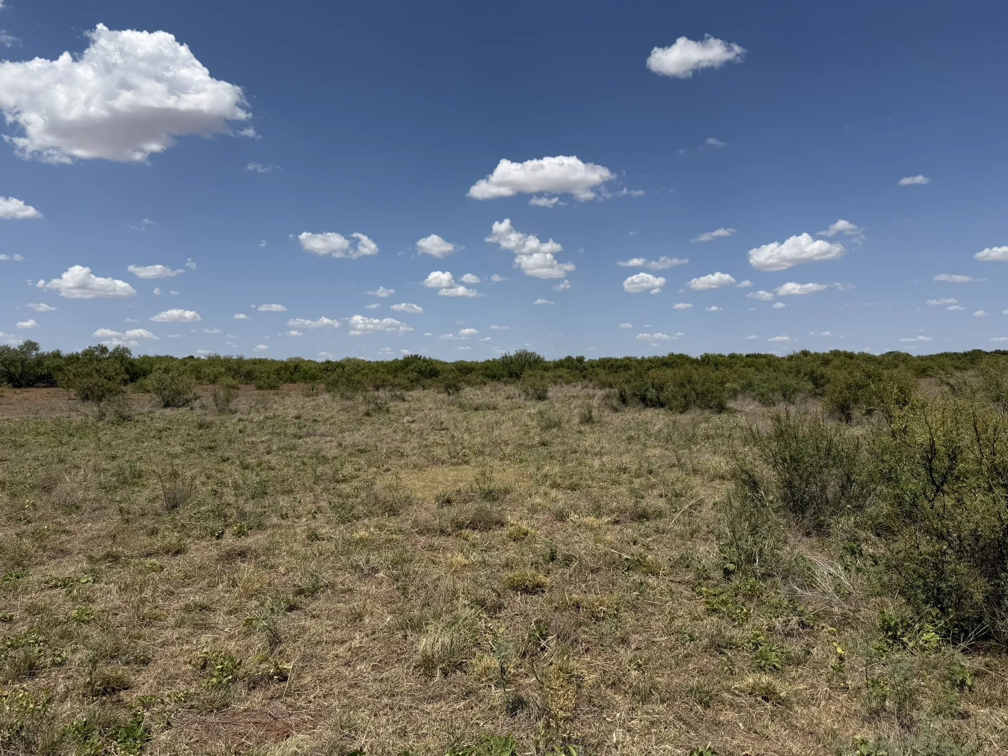 Ranch For Sale in Childress County , TBD County Road M, Childress, Texas 79201, 0, 0, Garage spaces, 0 Sqft, built in 0, mls#21361478, Real Estate Agent in Childress, Homes For Sale in Childress county, Homes For Sale in Childress, Realtor in Childress Texas, Real Estate Brokerage Independent Realty Texas, Luminita Cordes Realtor
