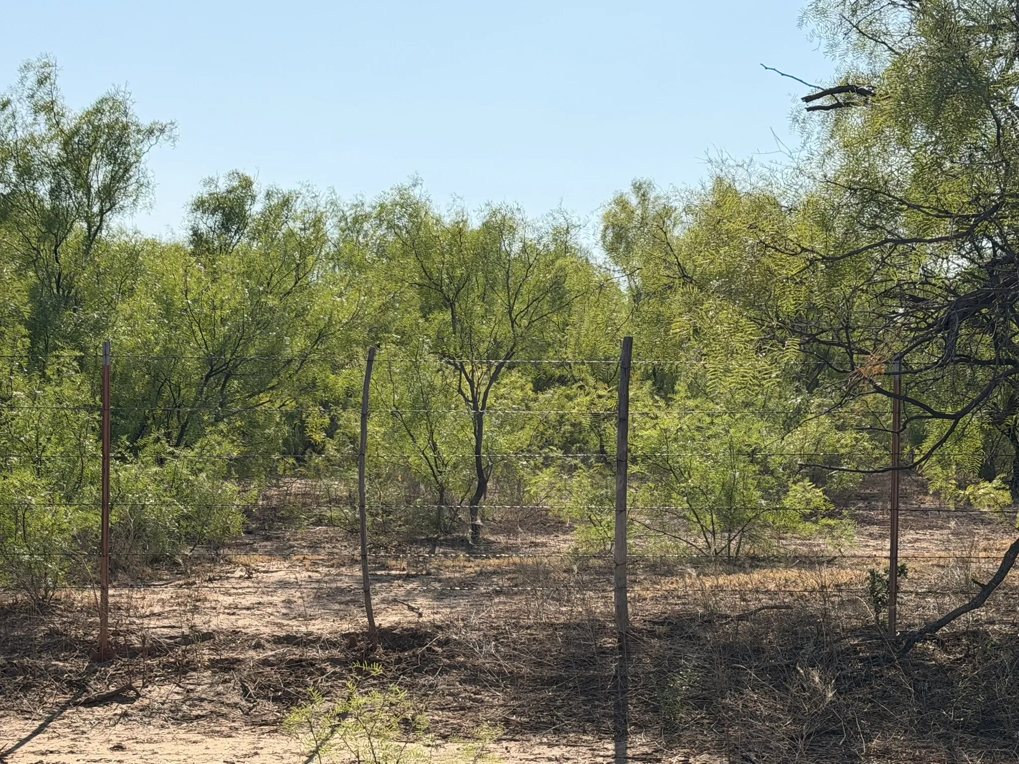 Ranch For Sale in Childress County , TBD County Road M, Childress, Texas 79201, 0, 0, Garage spaces, 0 Sqft, built in 0, mls#21361478, Real Estate Agent in Childress, Homes For Sale in Childress county, Homes For Sale in Childress, Realtor in Childress Texas, Real Estate Brokerage Independent Realty Texas, Luminita Cordes Realtor