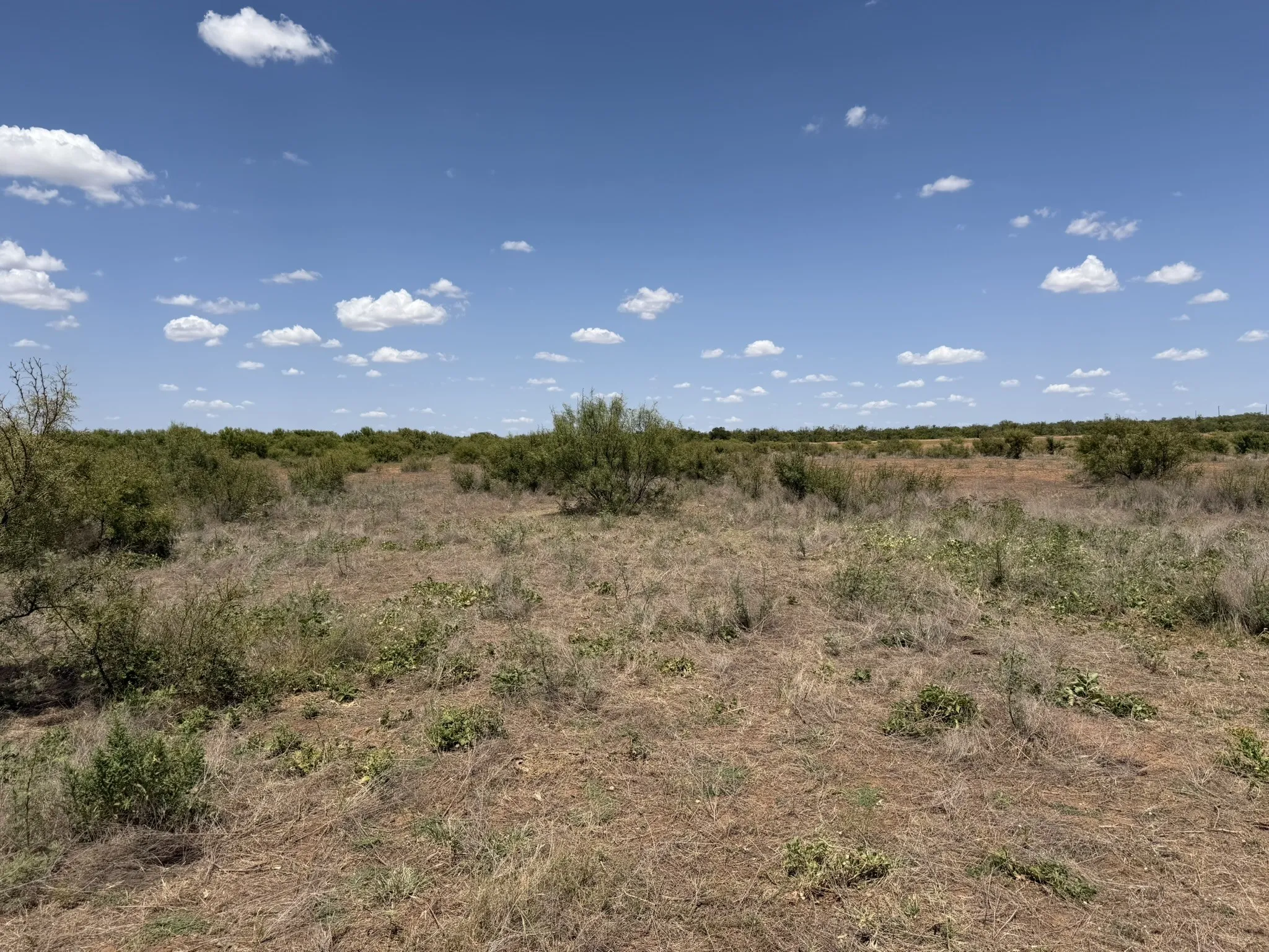 Ranch For Sale in Childress County , TBD County Road M, Childress, Texas 79201, 0, 0, Garage spaces, 0 Sqft, built in 0, mls#21361478, Real Estate Agent in Childress, Homes For Sale in Childress county, Homes For Sale in Childress, Realtor in Childress Texas, Real Estate Brokerage Independent Realty Texas, Luminita Cordes Realtor