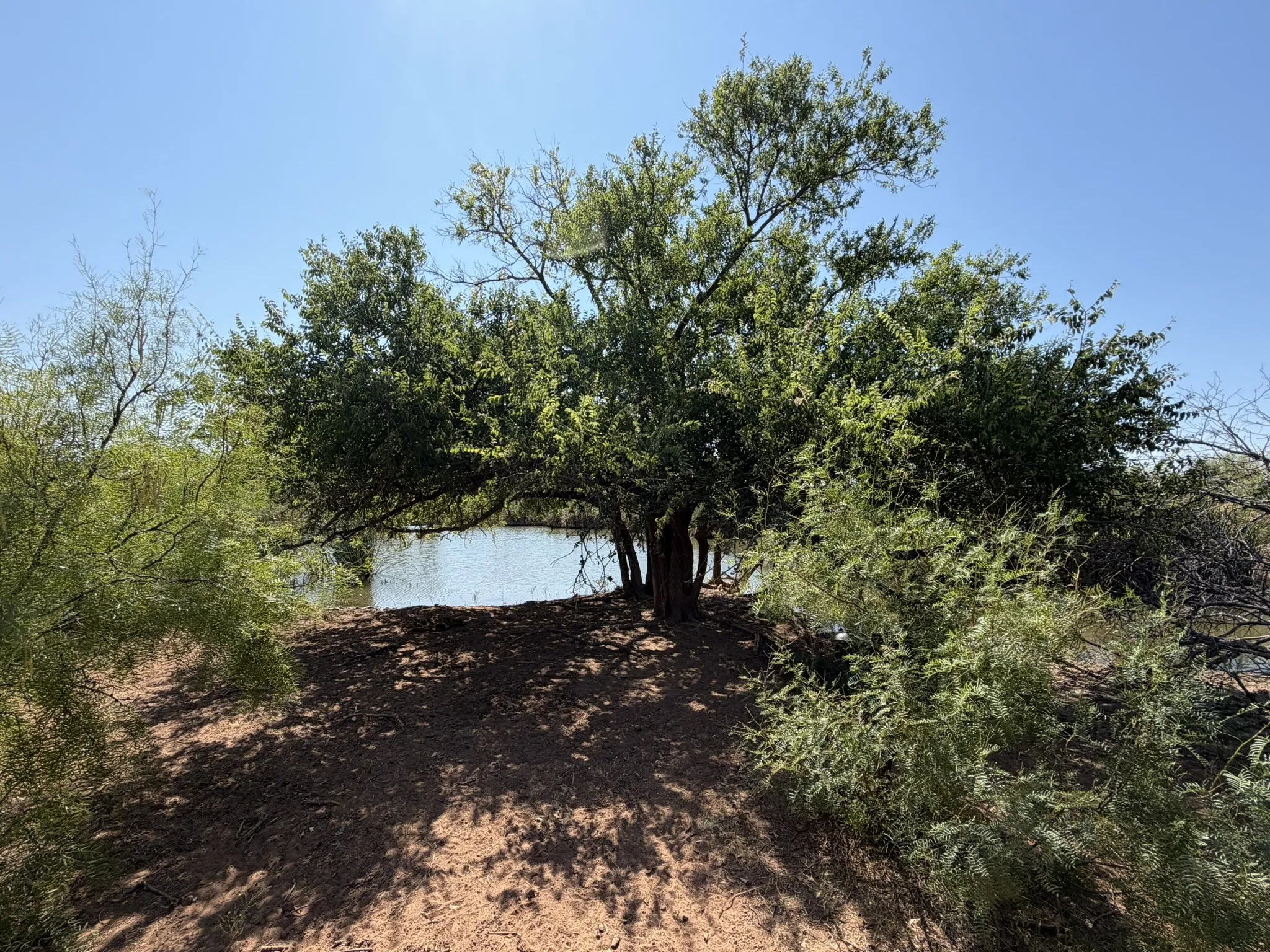 Ranch For Sale in Childress County , TBD County Road M, Childress, Texas 79201, 0, 0, Garage spaces, 0 Sqft, built in 0, mls#21361478, Real Estate Agent in Childress, Homes For Sale in Childress county, Homes For Sale in Childress, Realtor in Childress Texas, Real Estate Brokerage Independent Realty Texas, Luminita Cordes Realtor
