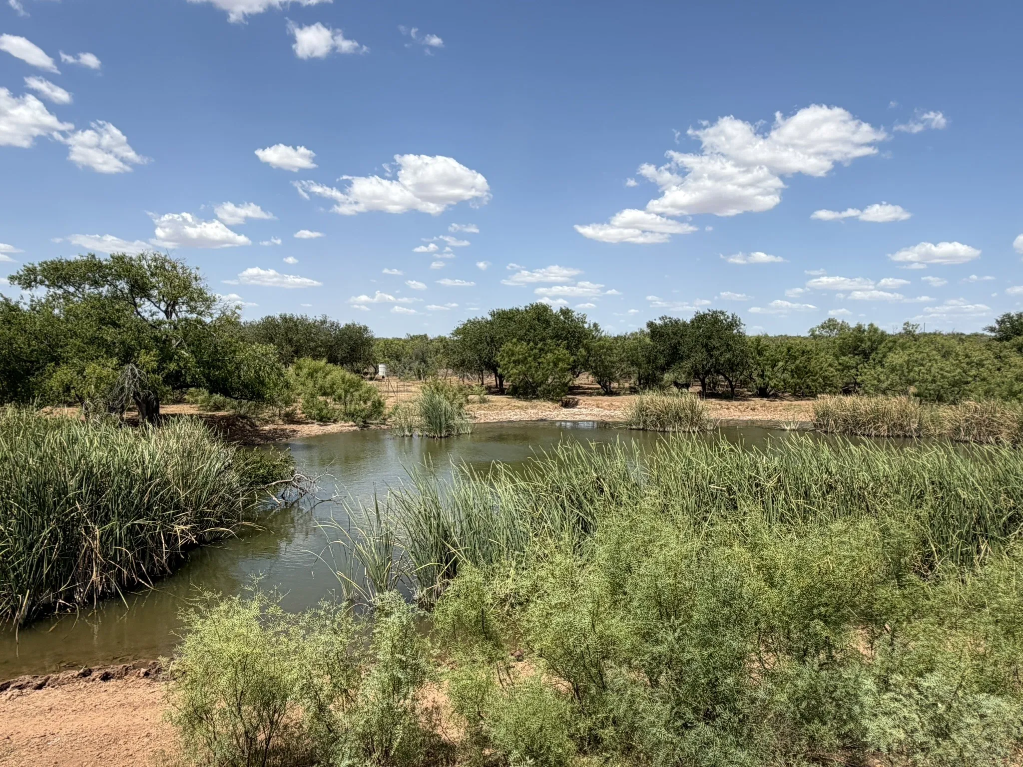 Ranch For Sale in Childress County , TBD County Road M, Childress, Texas 79201, 0, 0, Garage spaces, 0 Sqft, built in 0, mls#21361478, Real Estate Agent in Childress, Homes For Sale in Childress county, Homes For Sale in Childress, Realtor in Childress Texas, Real Estate Brokerage Independent Realty Texas, Luminita Cordes Realtor