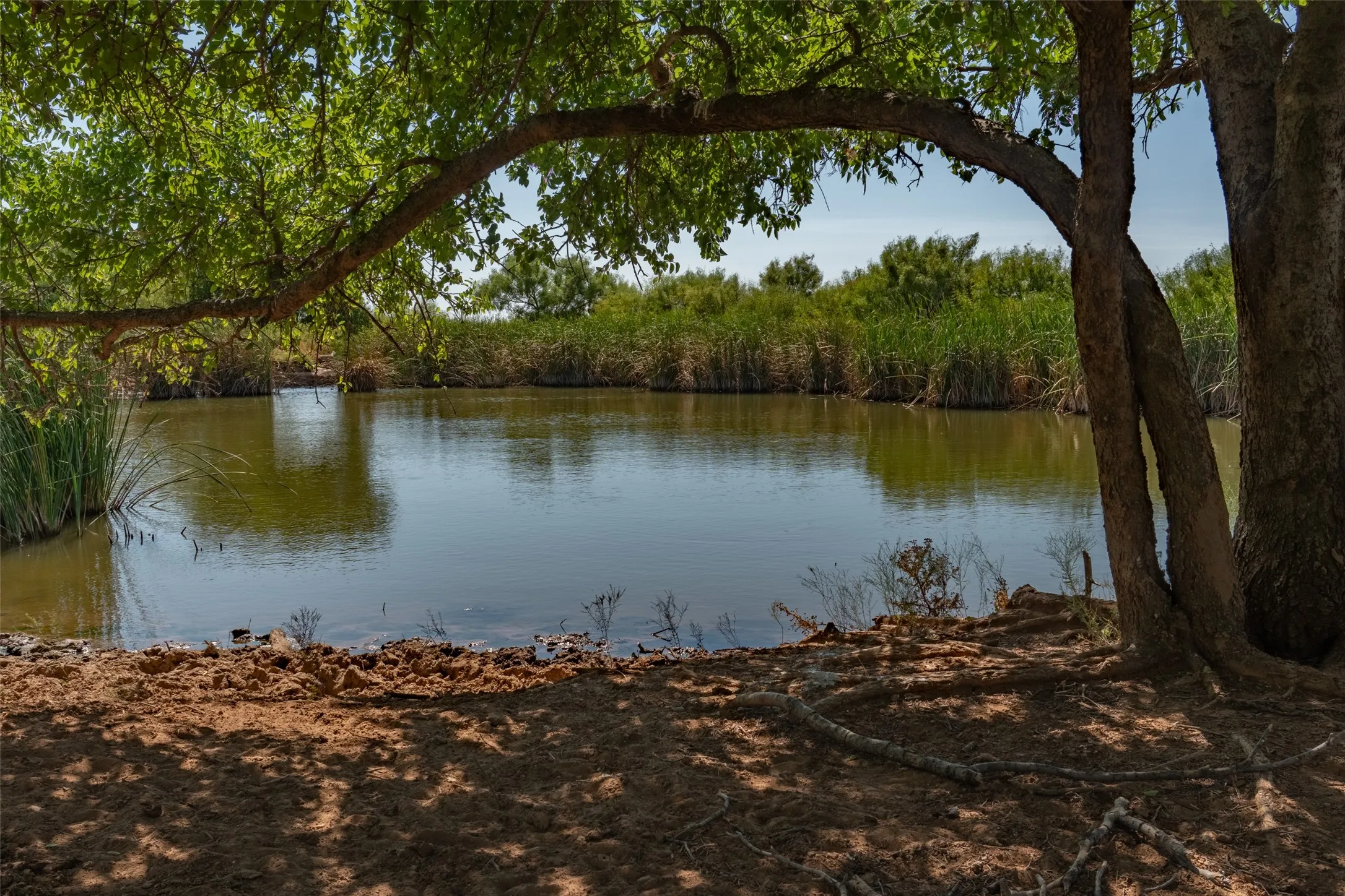 Ranch For Sale in Childress County , TBD County Road M, Childress, Texas 79201, 0, 0, Garage spaces, 0 Sqft, built in 0, mls#21361478, Real Estate Agent in Childress, Homes For Sale in Childress county, Homes For Sale in Childress, Realtor in Childress Texas, Real Estate Brokerage Independent Realty Texas, Luminita Cordes Realtor
