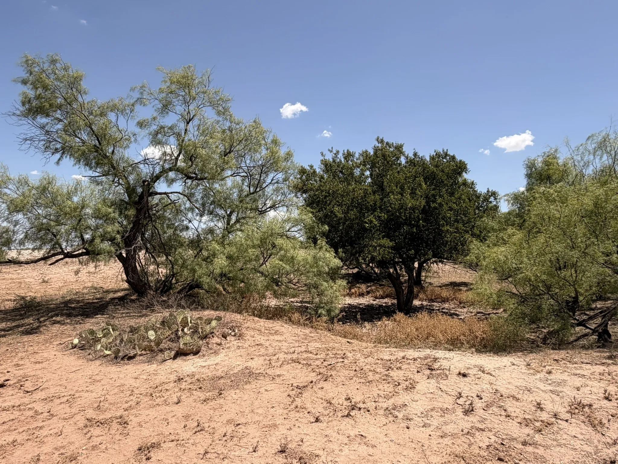 Ranch For Sale in Childress County , TBD County Road M, Childress, Texas 79201, 0, 0, Garage spaces, 0 Sqft, built in 0, mls#21361478, Real Estate Agent in Childress, Homes For Sale in Childress county, Homes For Sale in Childress, Realtor in Childress Texas, Real Estate Brokerage Independent Realty Texas, Luminita Cordes Realtor