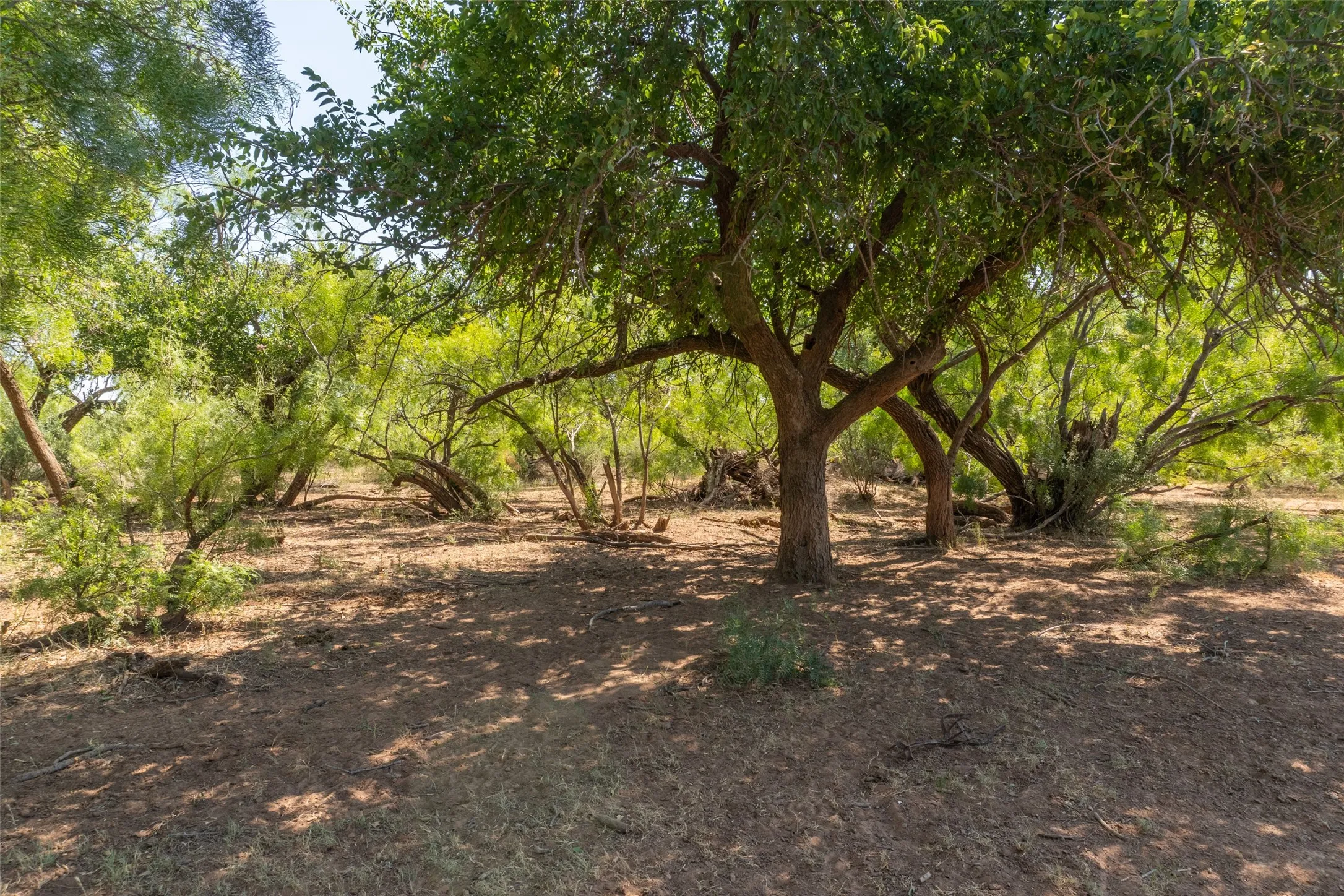 Ranch For Sale in Childress County , TBD County Road M, Childress, Texas 79201, 0, 0, Garage spaces, 0 Sqft, built in 0, mls#21361478, Real Estate Agent in Childress, Homes For Sale in Childress county, Homes For Sale in Childress, Realtor in Childress Texas, Real Estate Brokerage Independent Realty Texas, Luminita Cordes Realtor