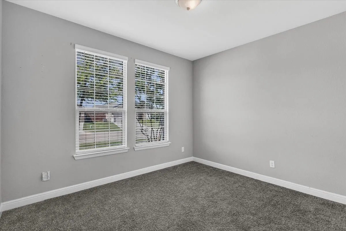 Neutral gray wall finish, plush gray carpeting, white trim, two windows with blinds, and ceiling-mounted light fixture