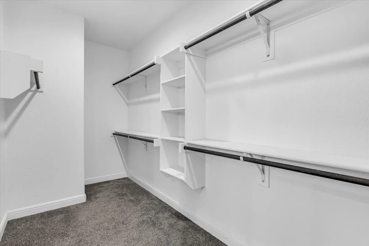 Walk-in closet featuring white walls, gray carpet, multiple storage shelves, and hanging rods