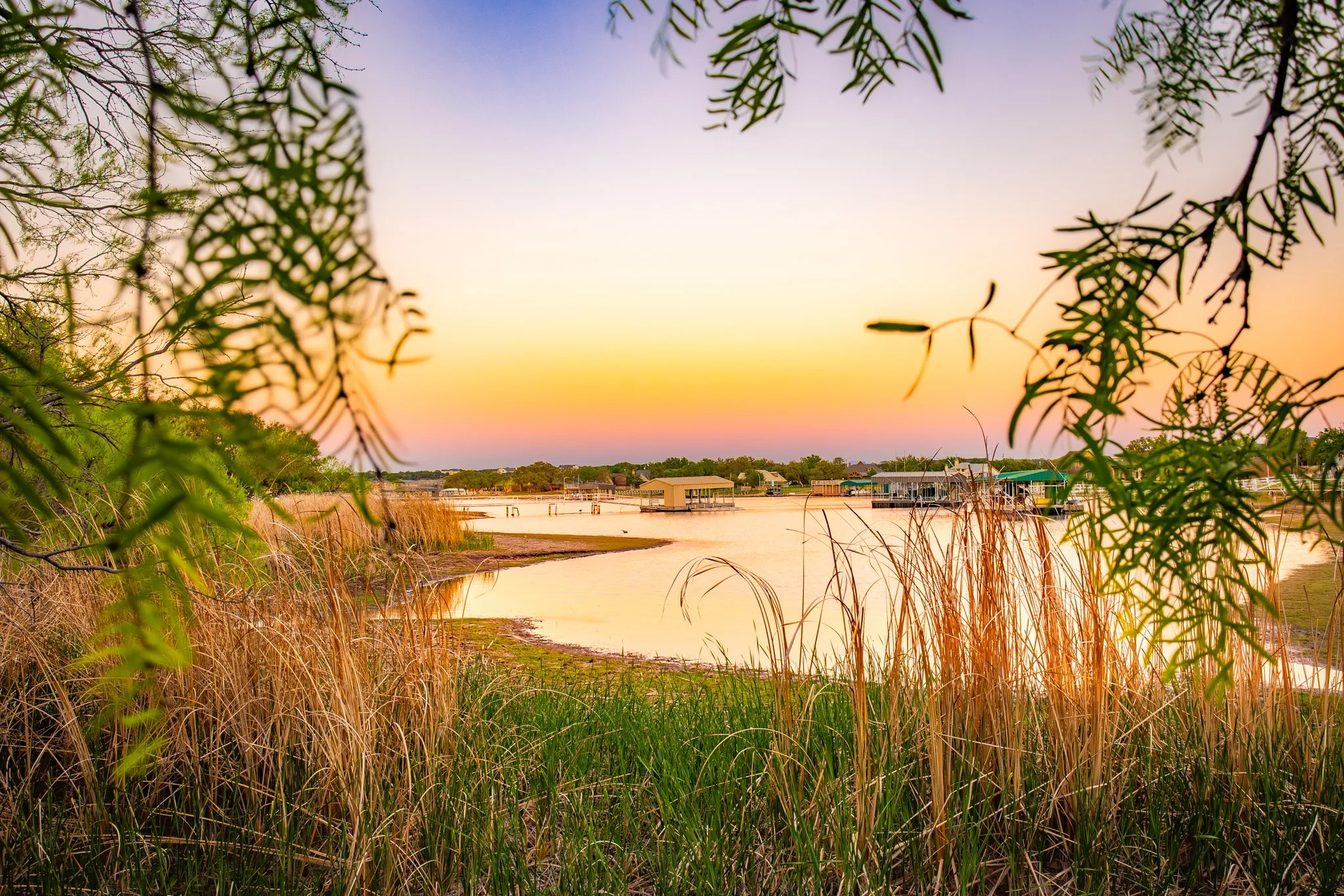 Natural waterfront setting with established foliage and distant structures