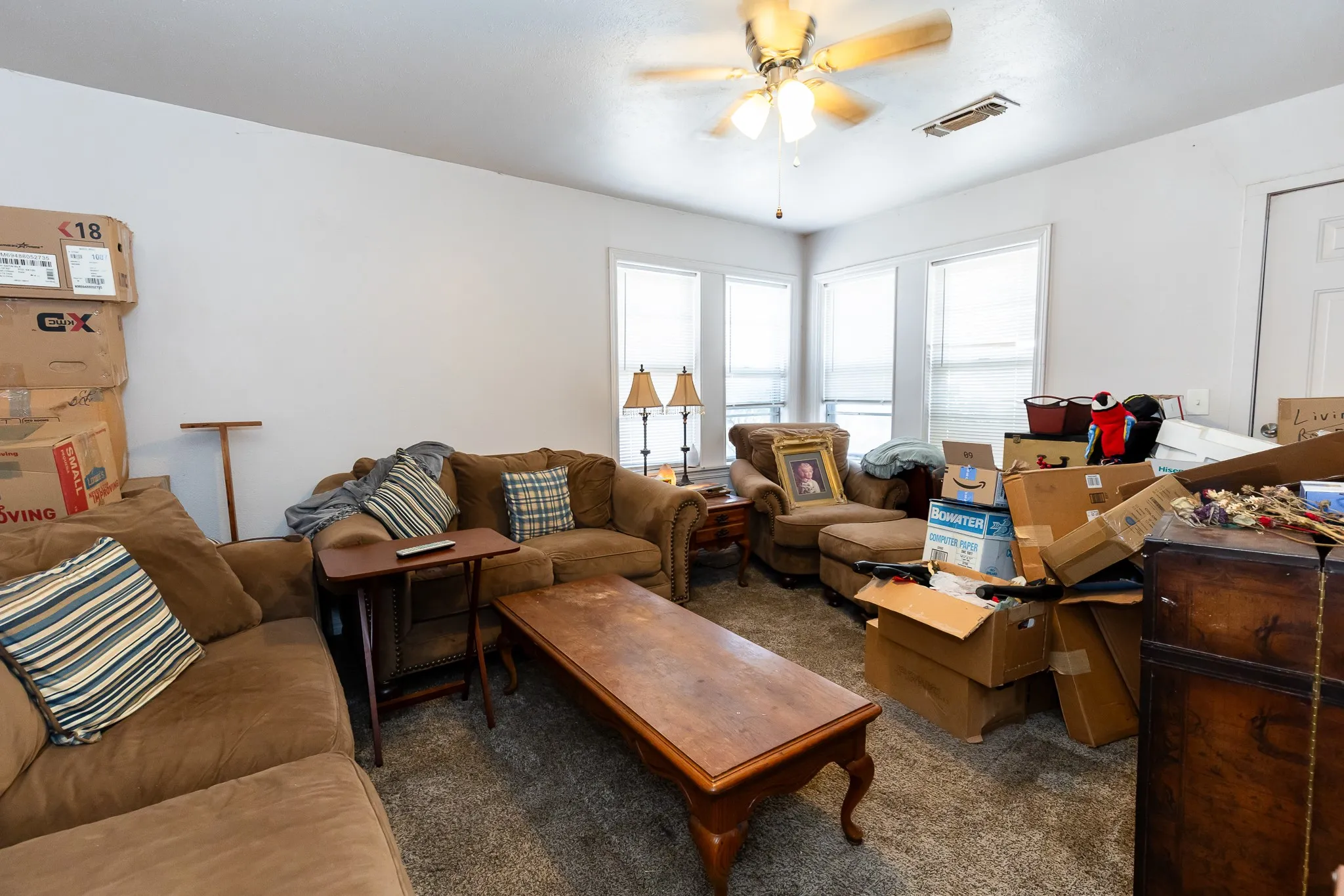 Carpeted living area with multiple windows, a ceiling fan, and a white paneled door