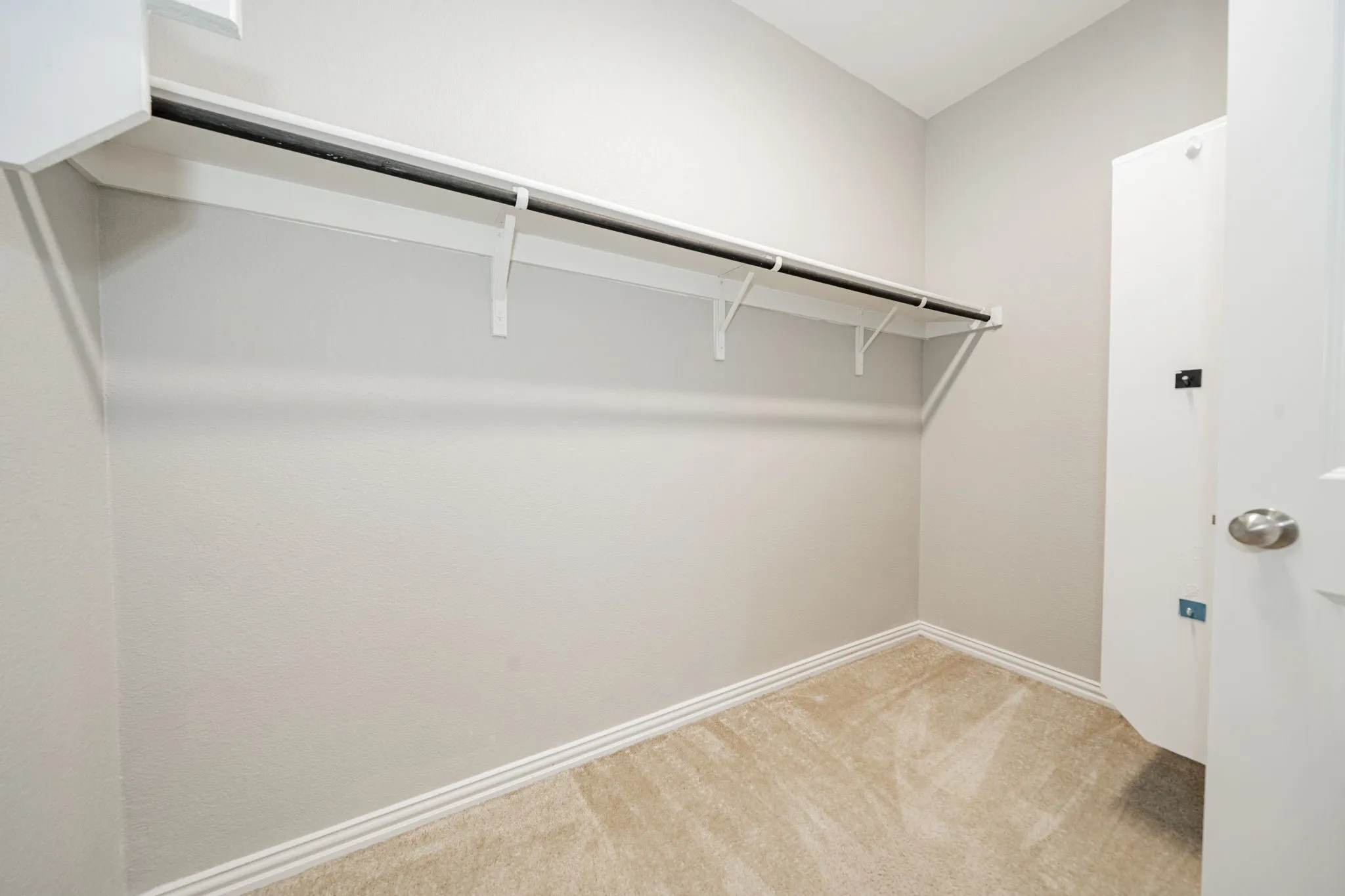 Built-in shelving with hanging rod, neutral-toned wall paint, and carpeted flooring