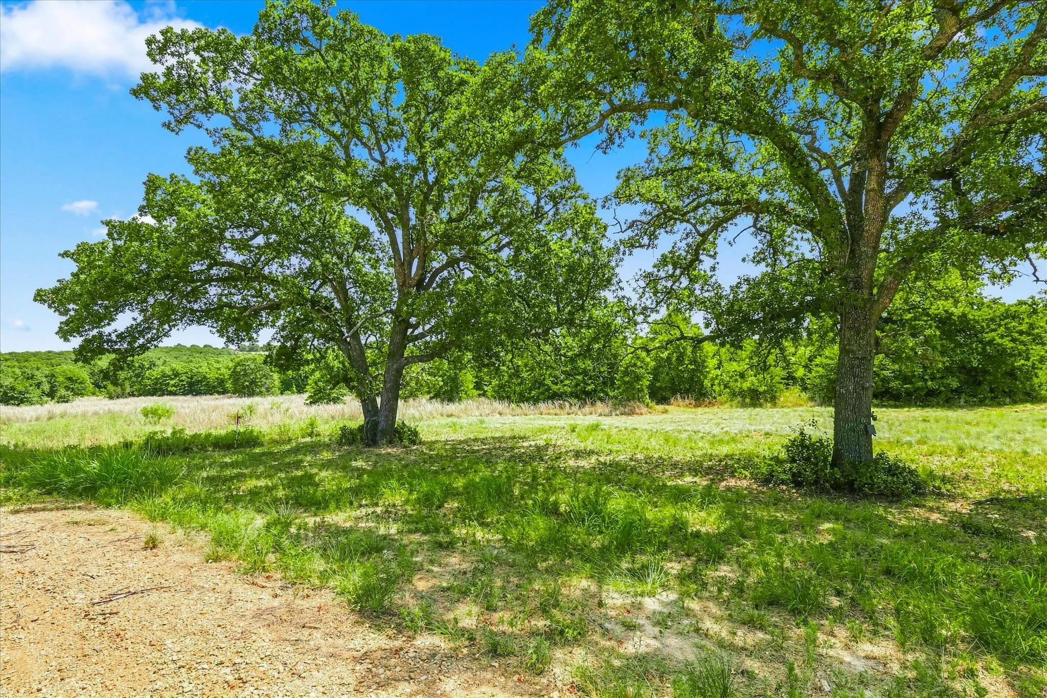 Unimproved Land For Sale in Jack County , 1150 DPS Tower Road Lot#50, Perrin, Texas 76486, 0, 0, Garage spaces, 0 Sqft, built in 0, Price $127,000, mls#21354020, Real Estate Agent in Perrin, Homes For Sale in Jack county, Homes For Sale in Perrin, Realtor in Perrin Texas, Real Estate Brokerage Independent Realty Texas, Luminita Cordes Realtor