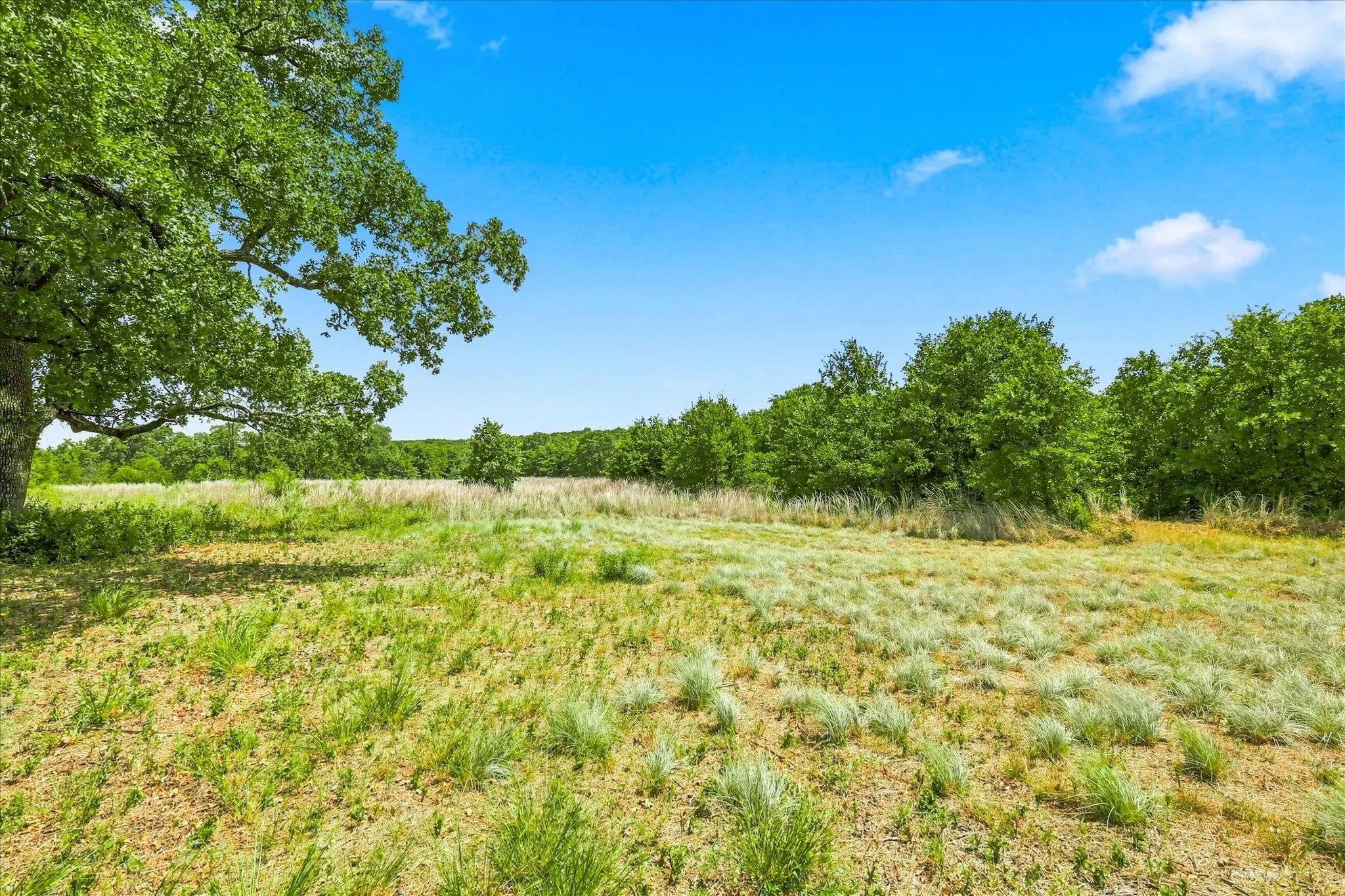 Unimproved Land For Sale in Jack County , 1150 DPS Tower Road Lot#50, Perrin, Texas 76486, 0, 0, Garage spaces, 0 Sqft, built in 0, Price $127,000, mls#21354020, Real Estate Agent in Perrin, Homes For Sale in Jack county, Homes For Sale in Perrin, Realtor in Perrin Texas, Real Estate Brokerage Independent Realty Texas, Luminita Cordes Realtor