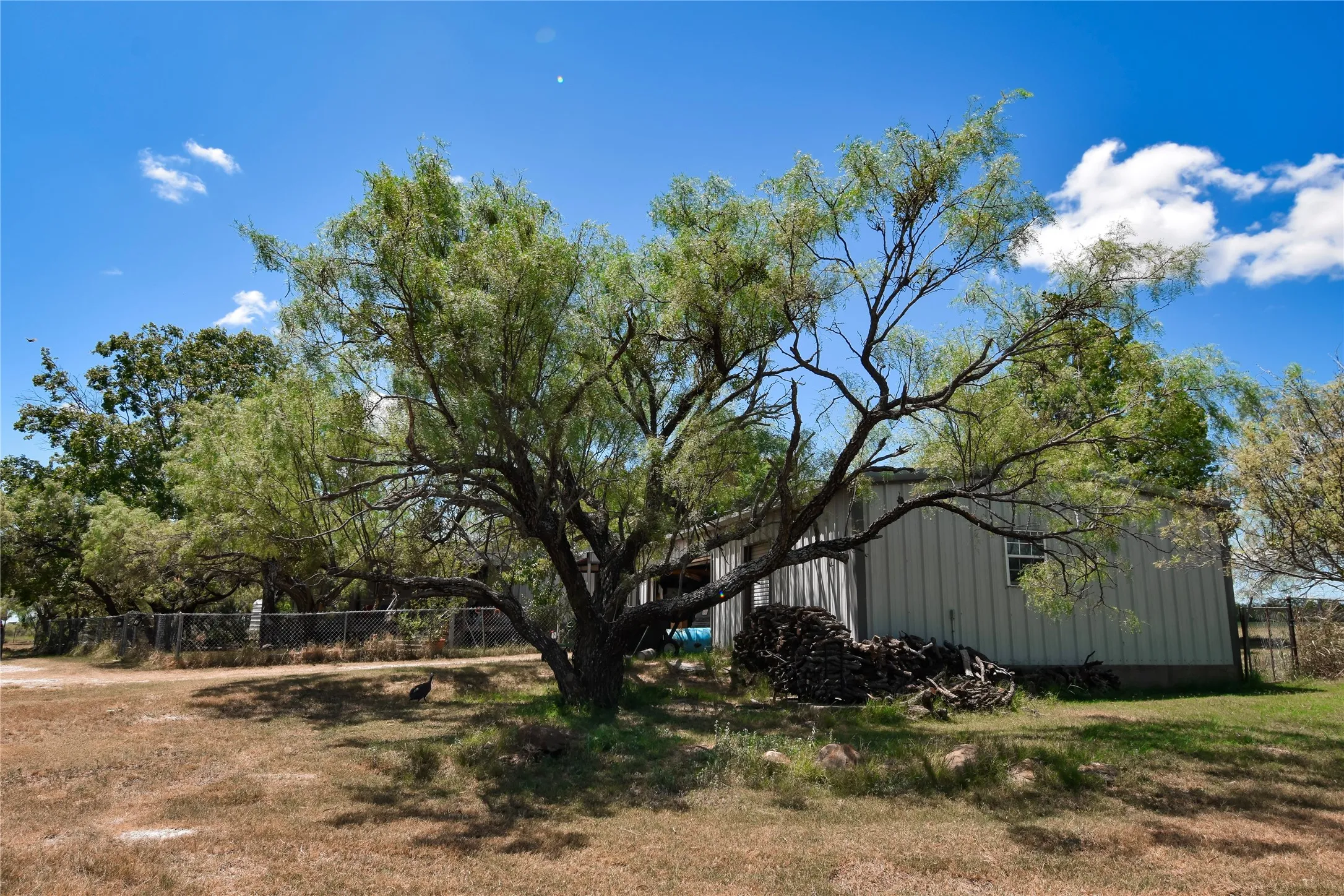 Single Family Residence For Sale in Mc Culloch County , 2077 CR 414 CR 414, Rochelle, Texas 76872, 4 Bedroom, 3 Bathroom, 1 Garage spaces, 2,645 Sqft, built in 1995, Price $375,000, mls#21360030, Real Estate Agent in Rochelle, Homes For Sale in Mc Culloch county, Homes For Sale in Rochelle, Realtor in Rochelle Texas, Real Estate Brokerage Independent Realty Texas, Luminita Cordes Realtor