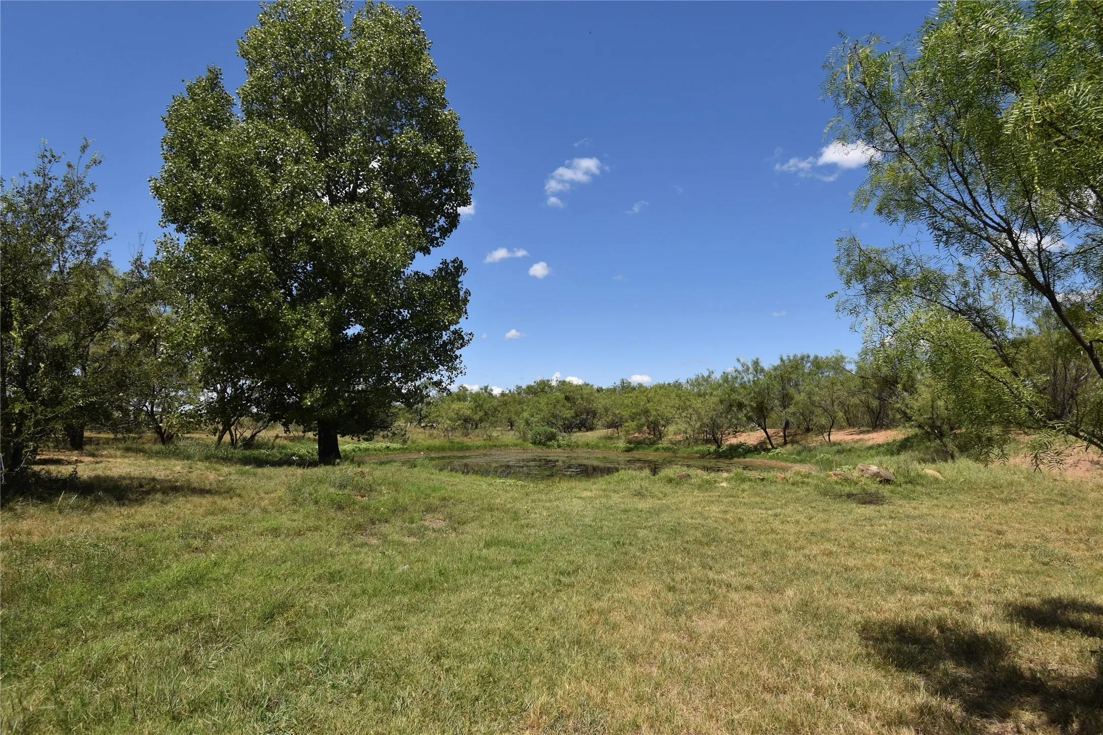 Single Family Residence For Sale in Mc Culloch County , 2077 CR 414 CR 414, Rochelle, Texas 76872, 4 Bedroom, 3 Bathroom, 1 Garage spaces, 2,645 Sqft, built in 1995, Price $375,000, mls#21360030, Real Estate Agent in Rochelle, Homes For Sale in Mc Culloch county, Homes For Sale in Rochelle, Realtor in Rochelle Texas, Real Estate Brokerage Independent Realty Texas, Luminita Cordes Realtor