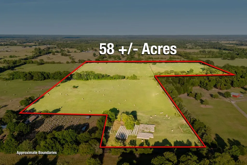 Improved Land For Sale in Wood County , TBD County Road 4990, Winnsboro, Texas 75494, 0, 0, Garage spaces, 0 Sqft, built in 0, Price $615,000, mls#21361634, Real Estate Agent in Winnsboro, Homes For Sale in Wood county, Homes For Sale in Winnsboro, Realtor in Winnsboro Texas, Real Estate Brokerage Independent Realty Texas, Luminita Cordes Realtor