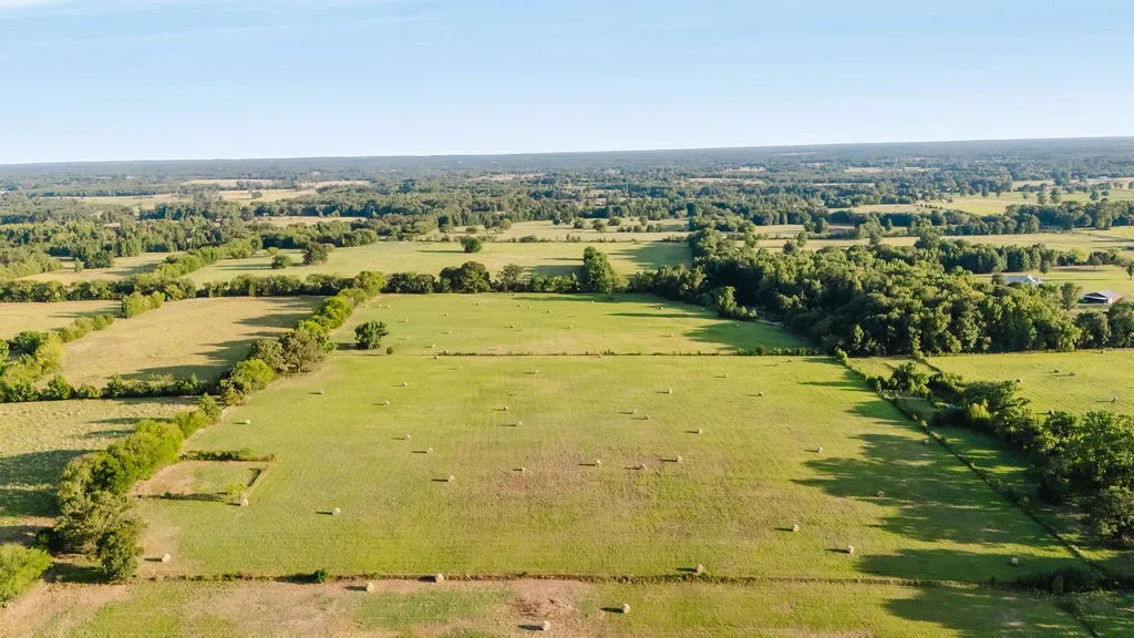 Improved Land For Sale in Wood County , TBD County Road 4990, Winnsboro, Texas 75494, 0, 0, Garage spaces, 0 Sqft, built in 0, Price $615,000, mls#21361634, Real Estate Agent in Winnsboro, Homes For Sale in Wood county, Homes For Sale in Winnsboro, Realtor in Winnsboro Texas, Real Estate Brokerage Independent Realty Texas, Luminita Cordes Realtor