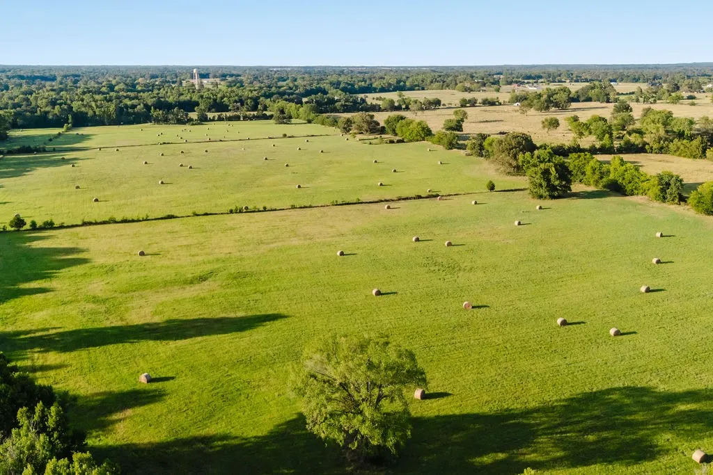 Improved Land For Sale in Wood County , TBD County Road 4990, Winnsboro, Texas 75494, 0, 0, Garage spaces, 0 Sqft, built in 0, Price $615,000, mls#21361634, Real Estate Agent in Winnsboro, Homes For Sale in Wood county, Homes For Sale in Winnsboro, Realtor in Winnsboro Texas, Real Estate Brokerage Independent Realty Texas, Luminita Cordes Realtor