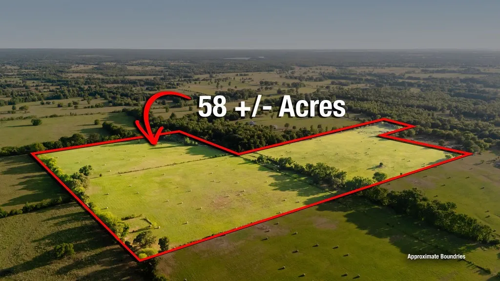 Improved Land For Sale in Wood County , TBD County Road 4990, Winnsboro, Texas 75494, 0, 0, Garage spaces, 0 Sqft, built in 0, Price $615,000, mls#21361634, Real Estate Agent in Winnsboro, Homes For Sale in Wood county, Homes For Sale in Winnsboro, Realtor in Winnsboro Texas, Real Estate Brokerage Independent Realty Texas, Luminita Cordes Realtor