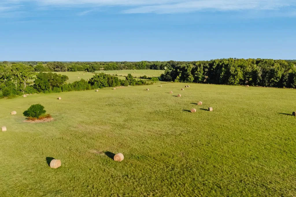 Improved Land For Sale in Wood County , TBD County Road 4990, Winnsboro, Texas 75494, 0, 0, Garage spaces, 0 Sqft, built in 0, Price $615,000, mls#21361634, Real Estate Agent in Winnsboro, Homes For Sale in Wood county, Homes For Sale in Winnsboro, Realtor in Winnsboro Texas, Real Estate Brokerage Independent Realty Texas, Luminita Cordes Realtor