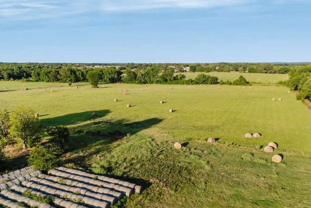 Improved Land For Sale in Wood County , TBD County Road 4990, Winnsboro, Texas 75494, 0, 0, Garage spaces, 0 Sqft, built in 0, Price $615,000, mls#21361634, Real Estate Agent in Winnsboro, Homes For Sale in Wood county, Homes For Sale in Winnsboro, Realtor in Winnsboro Texas, Real Estate Brokerage Independent Realty Texas, Luminita Cordes Realtor