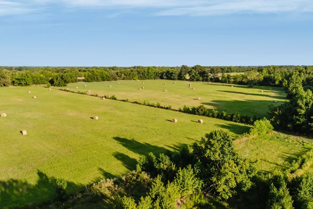 Improved Land For Sale in Wood County , TBD County Road 4990, Winnsboro, Texas 75494, 0, 0, Garage spaces, 0 Sqft, built in 0, Price $615,000, mls#21361634, Real Estate Agent in Winnsboro, Homes For Sale in Wood county, Homes For Sale in Winnsboro, Realtor in Winnsboro Texas, Real Estate Brokerage Independent Realty Texas, Luminita Cordes Realtor