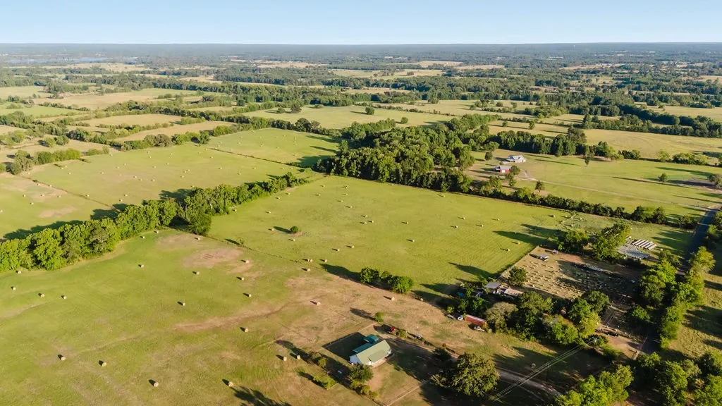 Improved Land For Sale in Wood County , TBD County Road 4990, Winnsboro, Texas 75494, 0, 0, Garage spaces, 0 Sqft, built in 0, Price $615,000, mls#21361634, Real Estate Agent in Winnsboro, Homes For Sale in Wood county, Homes For Sale in Winnsboro, Realtor in Winnsboro Texas, Real Estate Brokerage Independent Realty Texas, Luminita Cordes Realtor