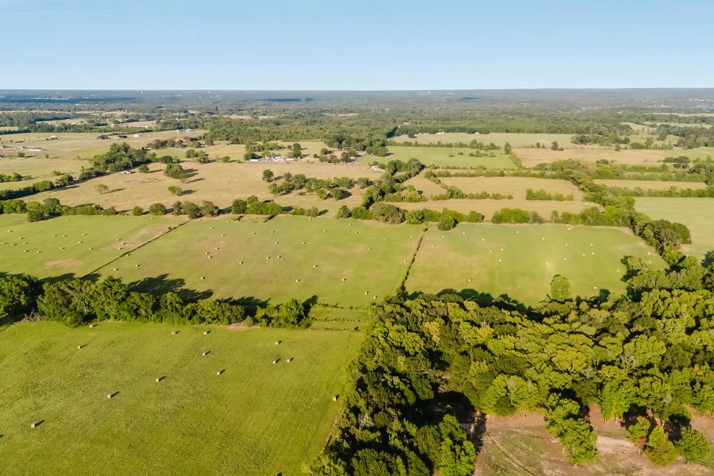 Improved Land For Sale in Wood County , TBD County Road 4990, Winnsboro, Texas 75494, 0, 0, Garage spaces, 0 Sqft, built in 0, Price $615,000, mls#21361634, Real Estate Agent in Winnsboro, Homes For Sale in Wood county, Homes For Sale in Winnsboro, Realtor in Winnsboro Texas, Real Estate Brokerage Independent Realty Texas, Luminita Cordes Realtor