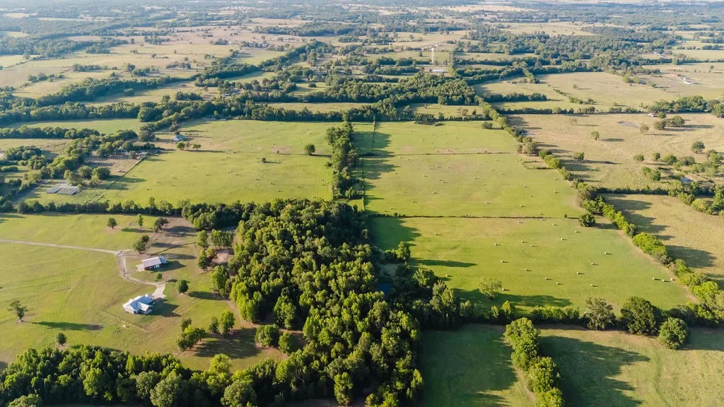 Improved Land For Sale in Wood County , TBD County Road 4990, Winnsboro, Texas 75494, 0, 0, Garage spaces, 0 Sqft, built in 0, Price $615,000, mls#21361634, Real Estate Agent in Winnsboro, Homes For Sale in Wood county, Homes For Sale in Winnsboro, Realtor in Winnsboro Texas, Real Estate Brokerage Independent Realty Texas, Luminita Cordes Realtor