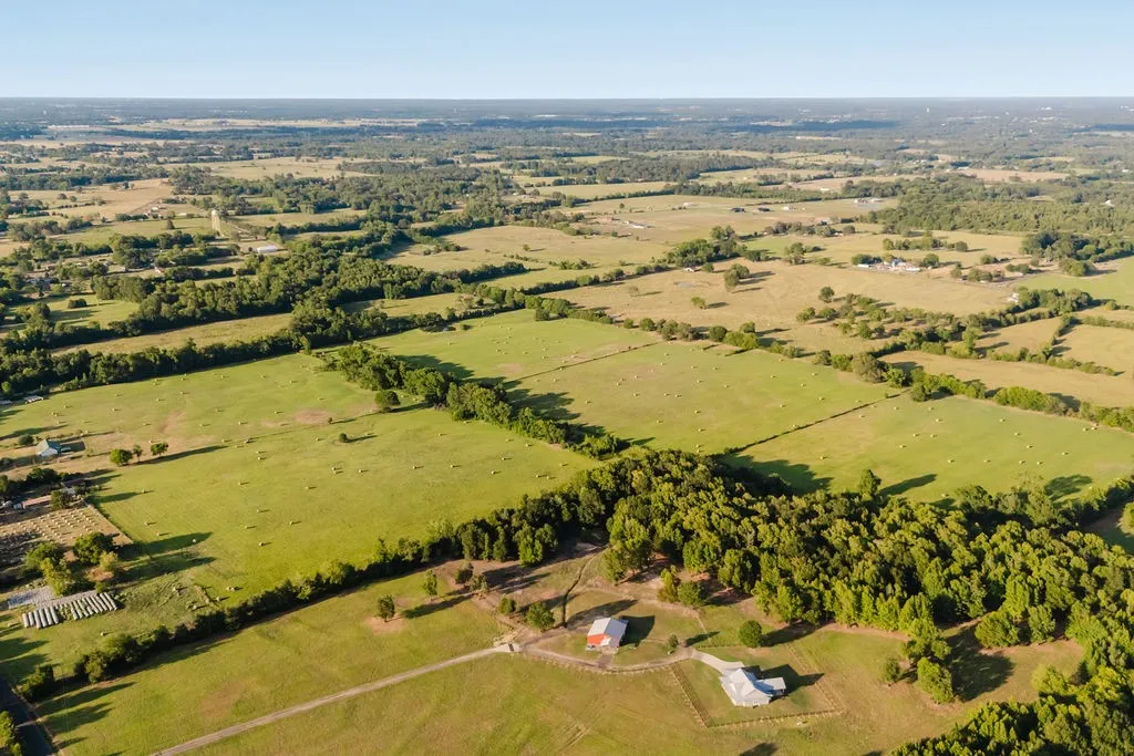 Improved Land For Sale in Wood County , TBD County Road 4990, Winnsboro, Texas 75494, 0, 0, Garage spaces, 0 Sqft, built in 0, Price $615,000, mls#21361634, Real Estate Agent in Winnsboro, Homes For Sale in Wood county, Homes For Sale in Winnsboro, Realtor in Winnsboro Texas, Real Estate Brokerage Independent Realty Texas, Luminita Cordes Realtor