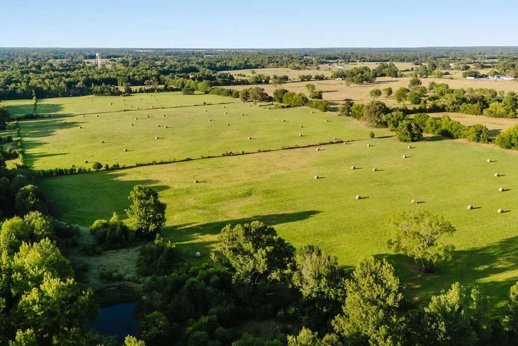 Improved Land For Sale in Wood County , TBD County Road 4990, Winnsboro, Texas 75494, 0, 0, Garage spaces, 0 Sqft, built in 0, Price $615,000, mls#21361634, Real Estate Agent in Winnsboro, Homes For Sale in Wood county, Homes For Sale in Winnsboro, Realtor in Winnsboro Texas, Real Estate Brokerage Independent Realty Texas, Luminita Cordes Realtor