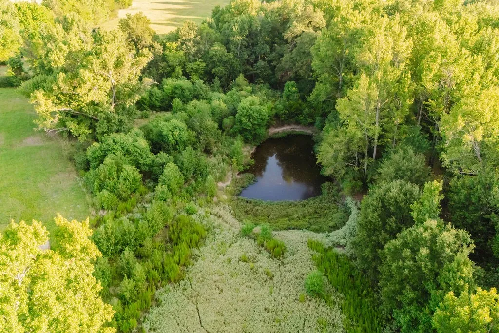 Improved Land For Sale in Wood County , TBD County Road 4990, Winnsboro, Texas 75494, 0, 0, Garage spaces, 0 Sqft, built in 0, Price $615,000, mls#21361634, Real Estate Agent in Winnsboro, Homes For Sale in Wood county, Homes For Sale in Winnsboro, Realtor in Winnsboro Texas, Real Estate Brokerage Independent Realty Texas, Luminita Cordes Realtor